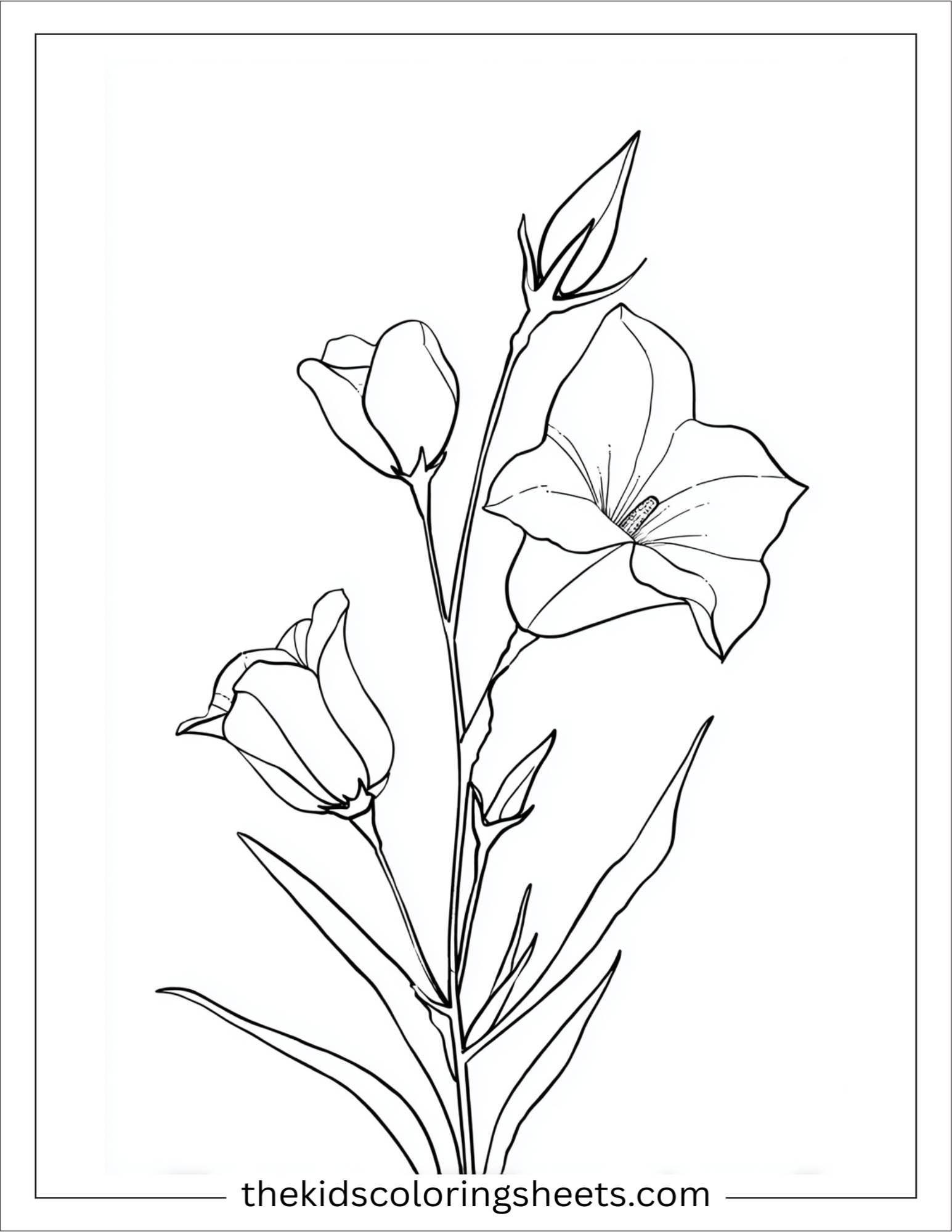 Bluebell in full bloom