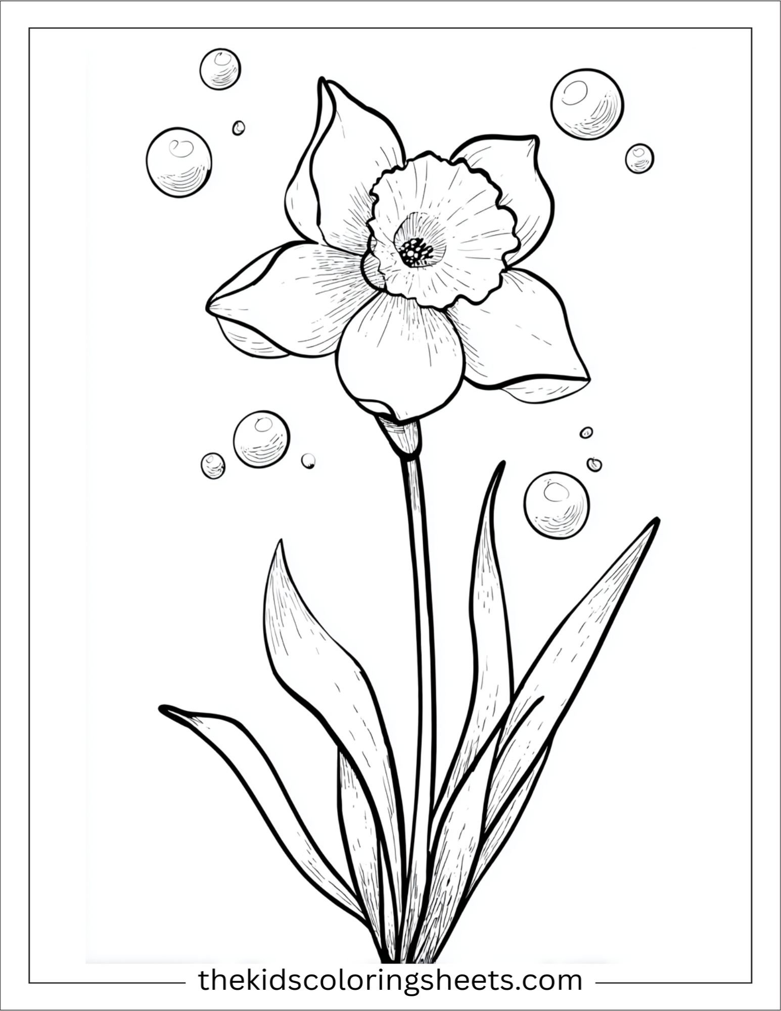 Daffodil blowing bubbles