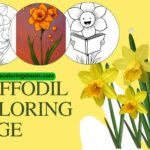 Daffodil coloring page