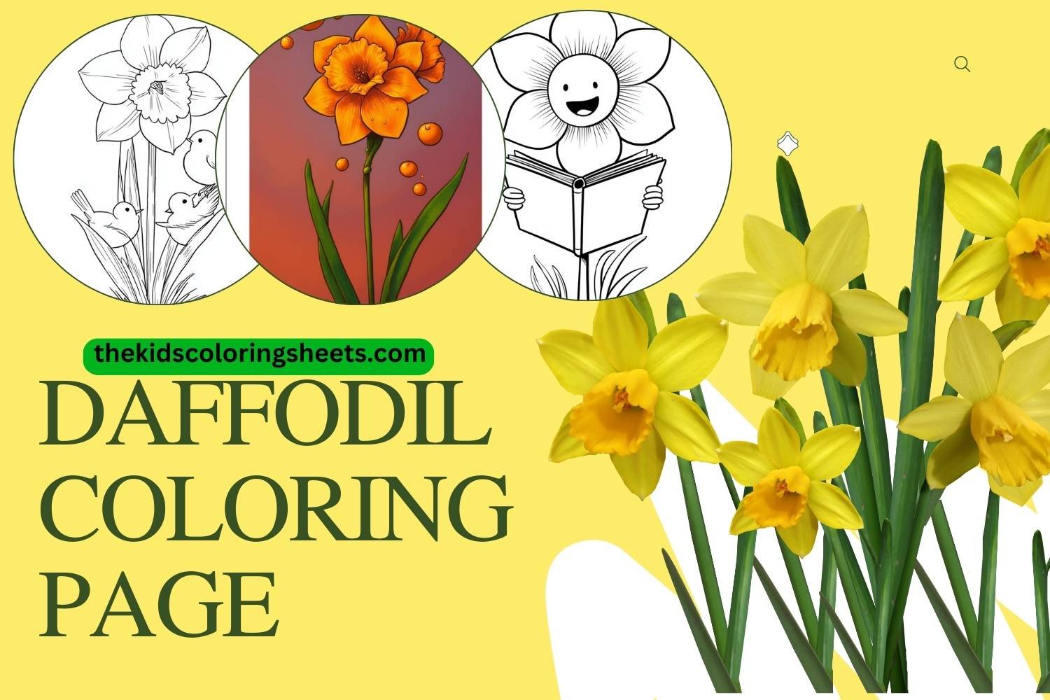 Daffodil coloring page