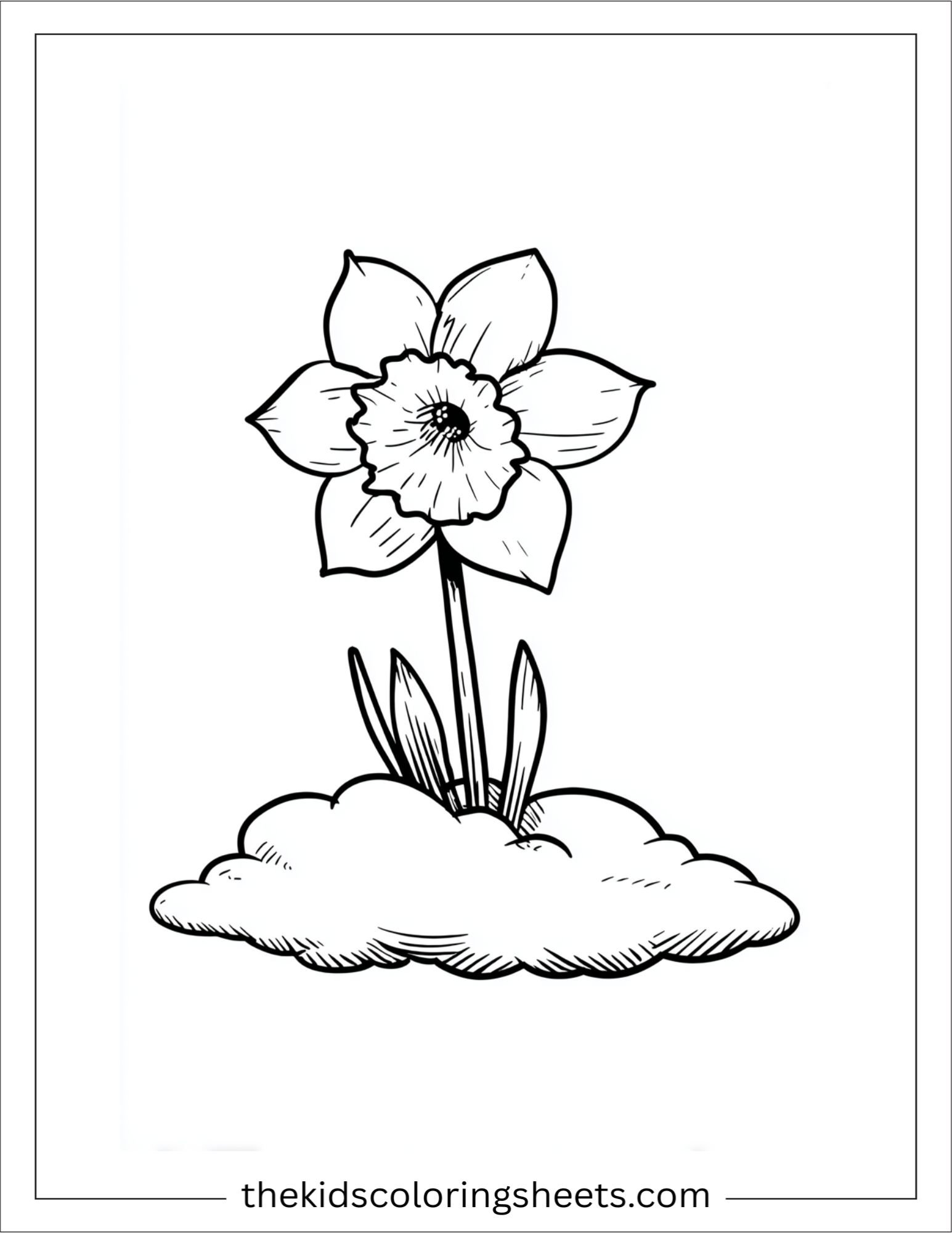 Daffodil resting on a cloud