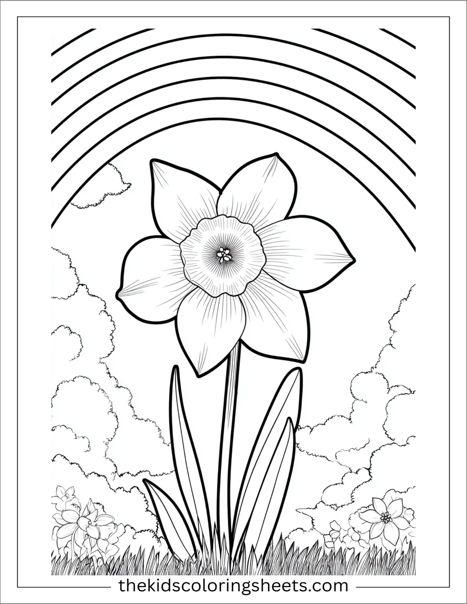 Daffodil sliding down a rainbow