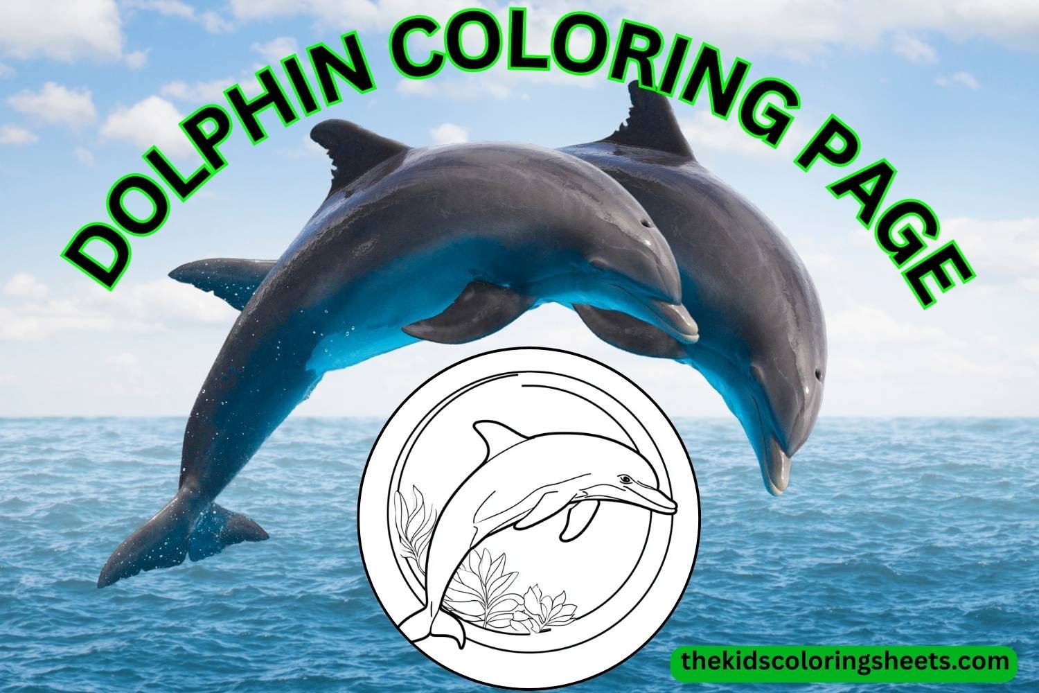 Dolphin Coloring Page Collection 30+ Cute and Easy Printable Designs for Kids
