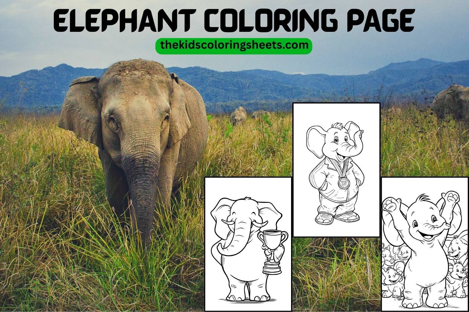 Elephant coloring page