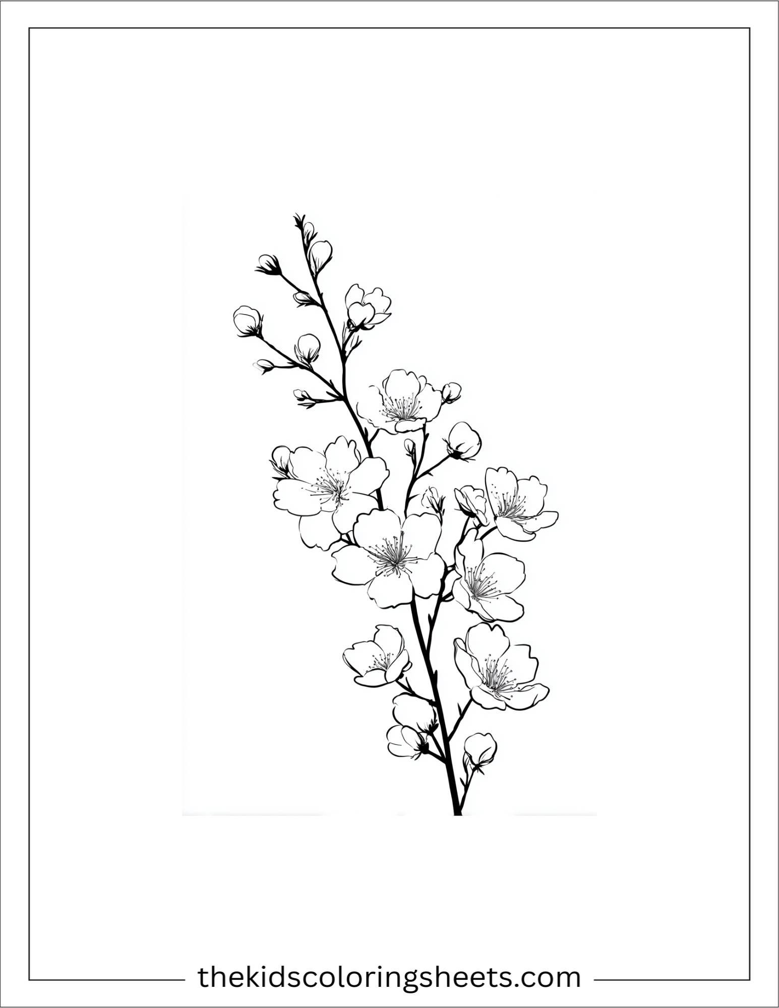 February flower bloom