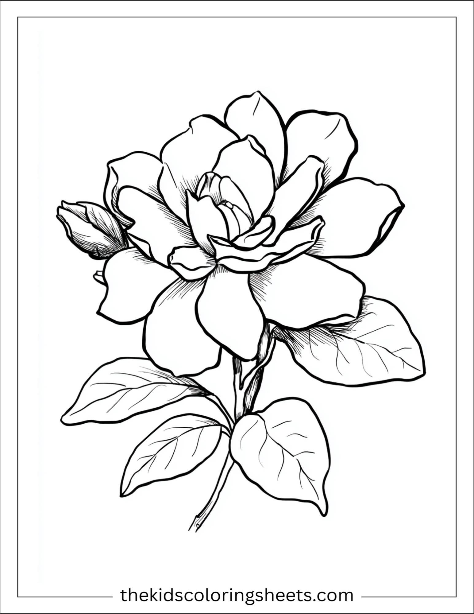 Gardenia in full bloom