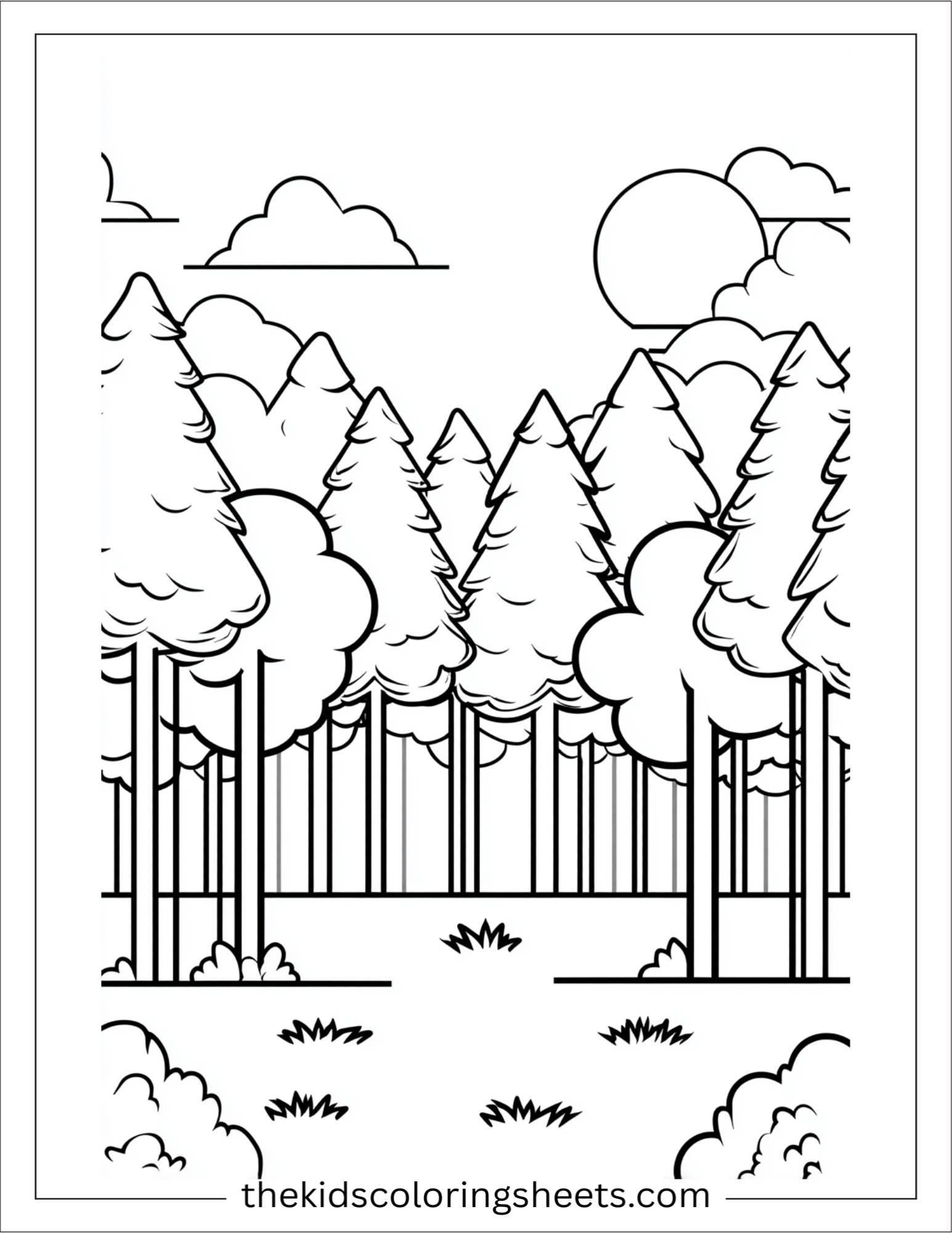 January pine trees