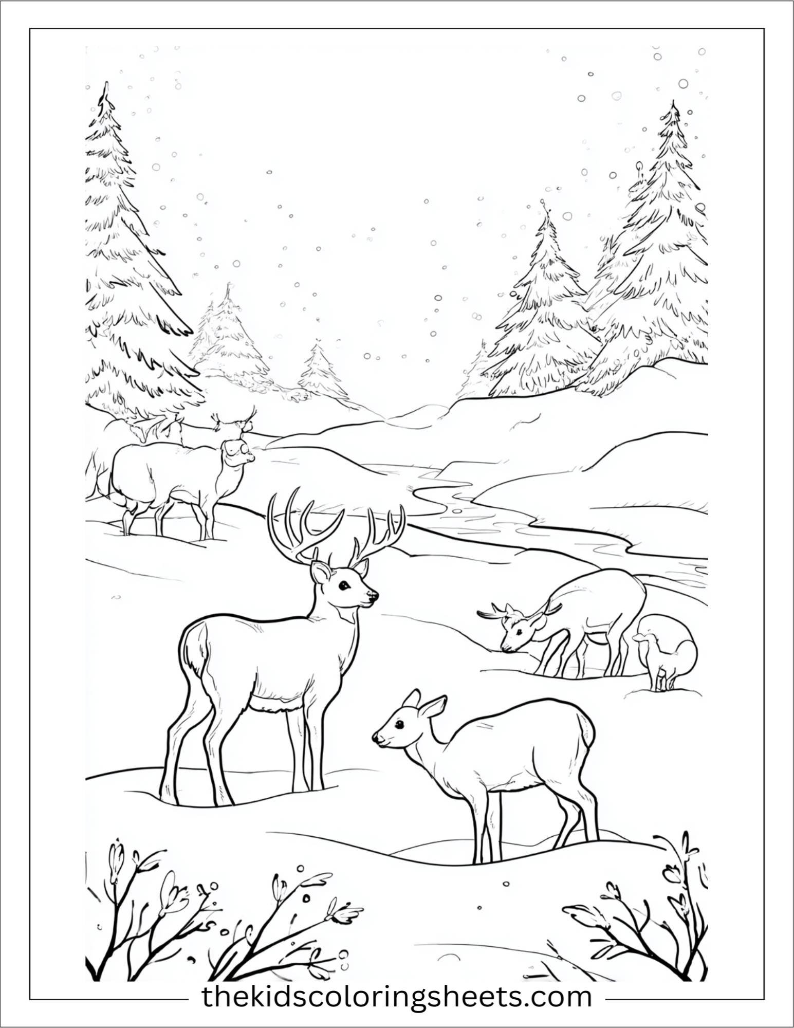 January winter animals