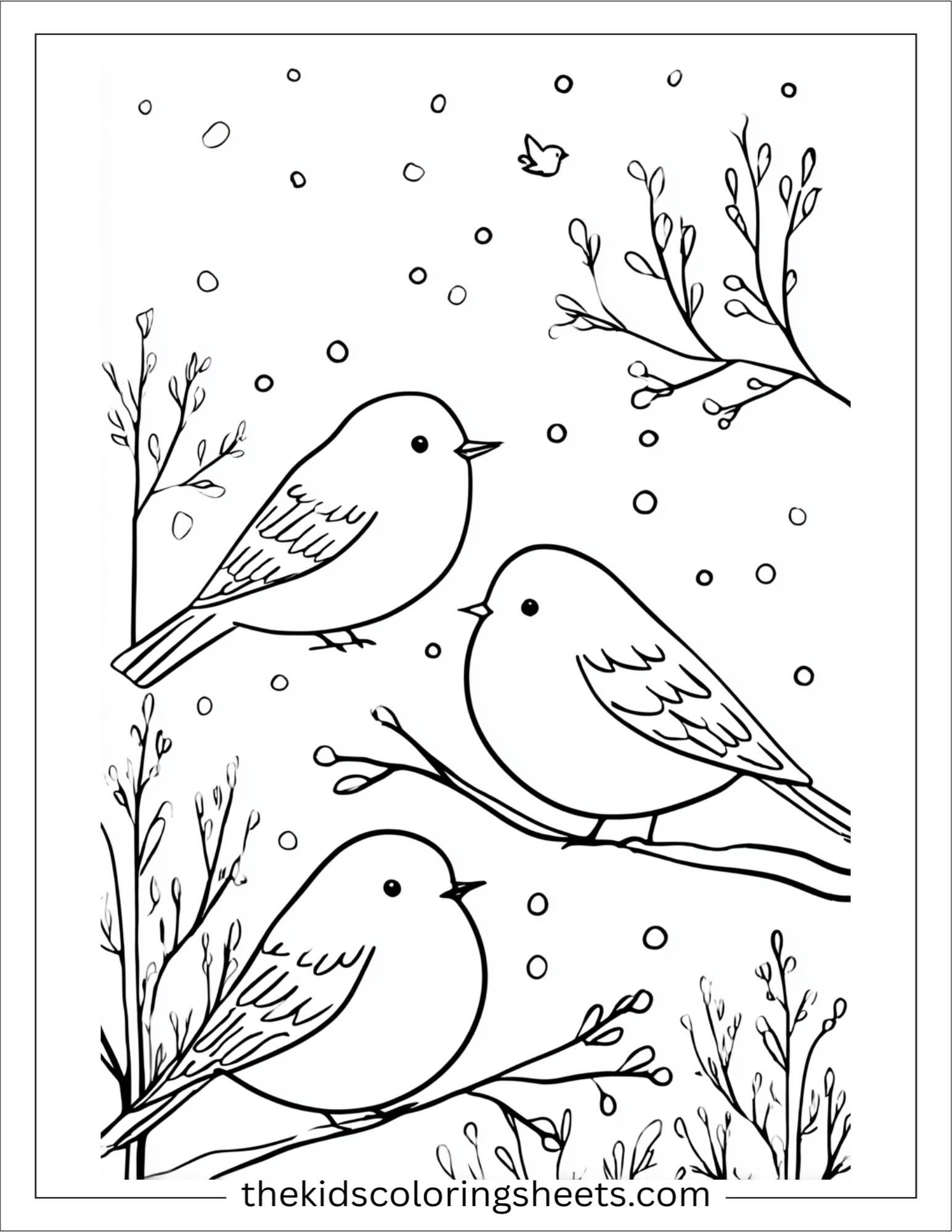 January winter birds