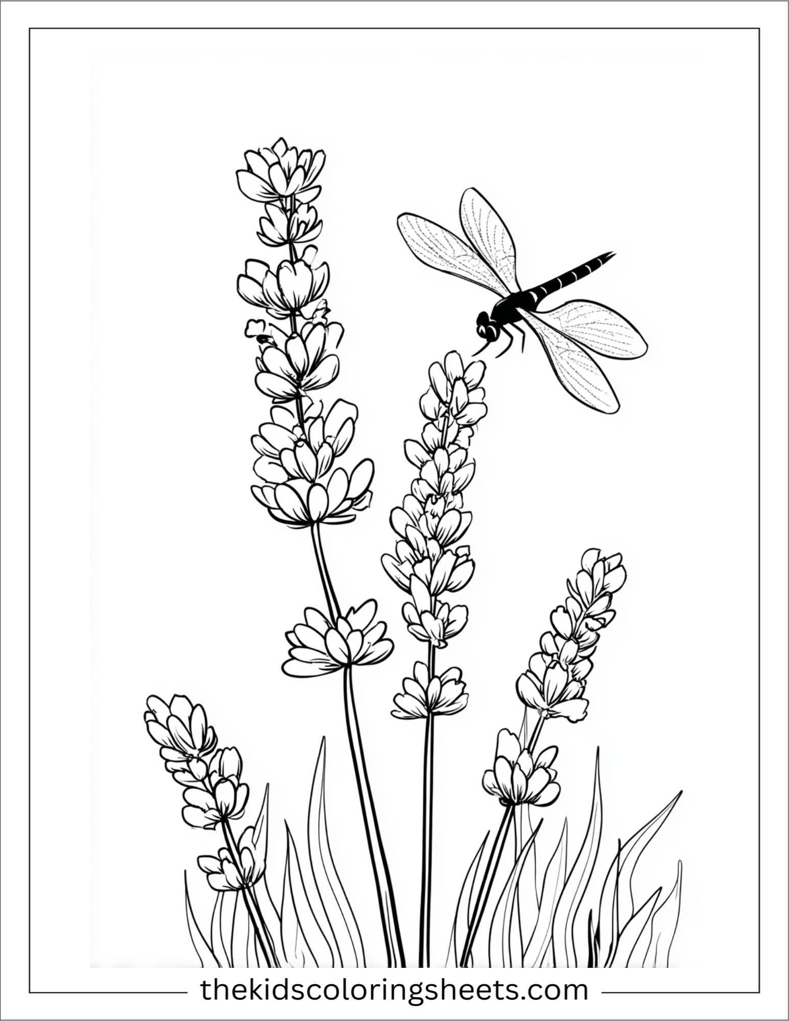 Lavender and Dragonfly