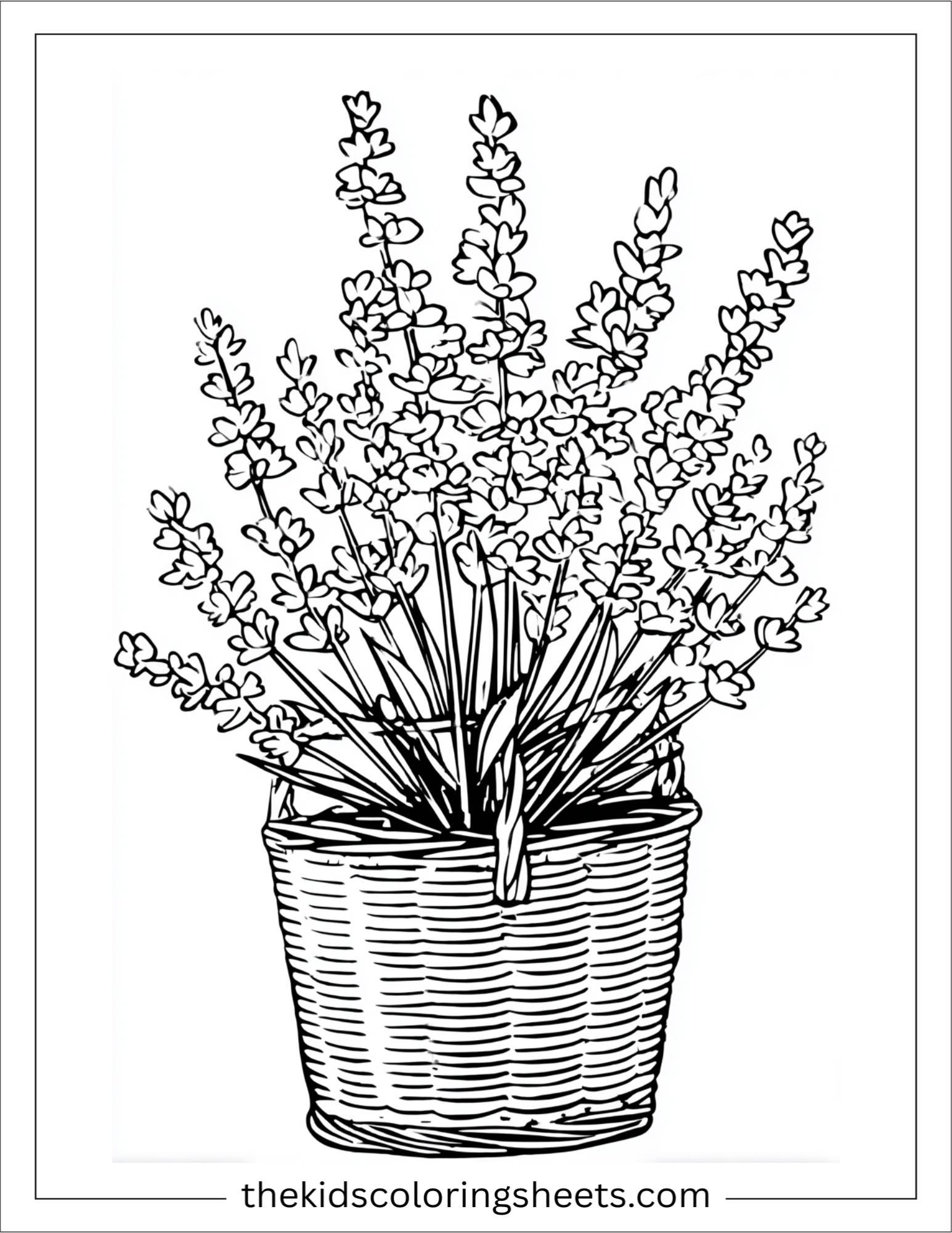 Lavender in a wicker basket