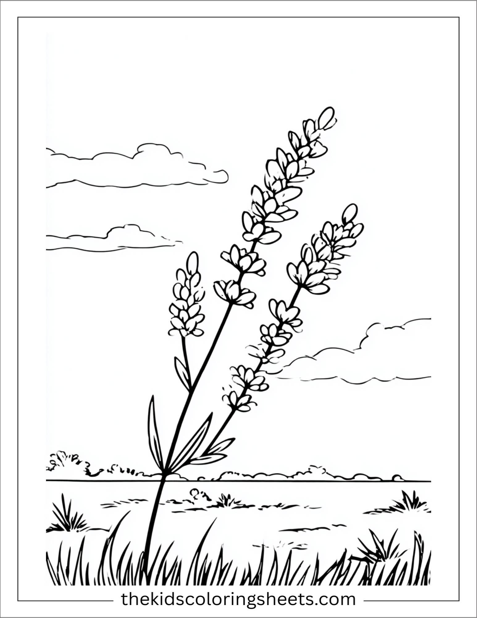 Lavender in the Wind