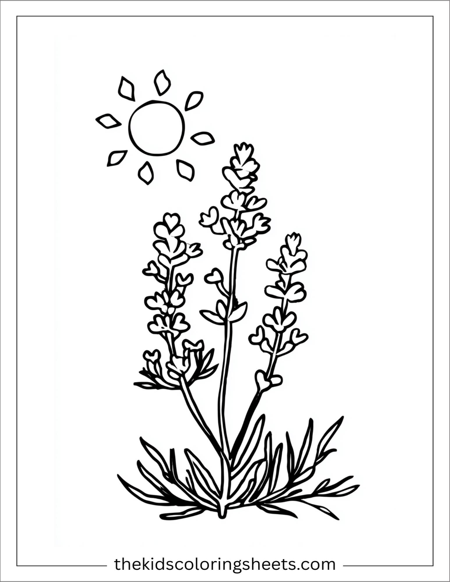 Lavender with smiling sun