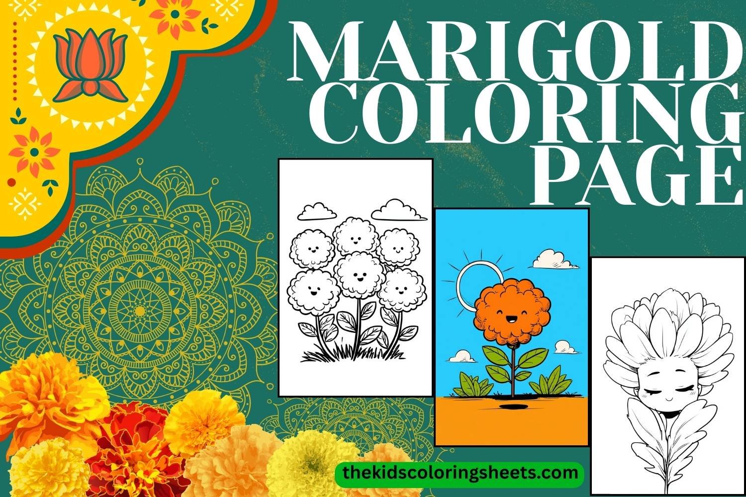 Marigold coloring page