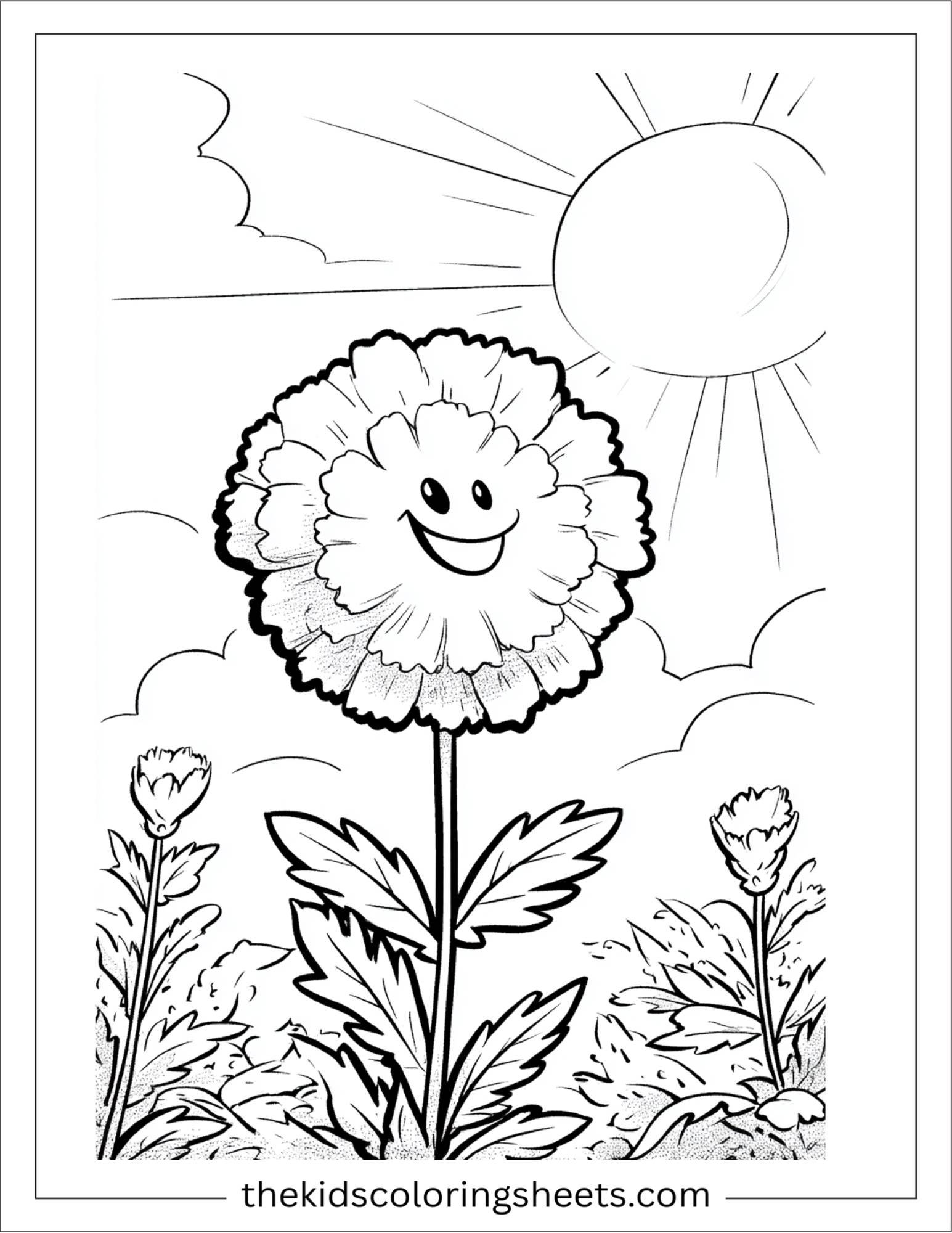 Marigold in morning sun