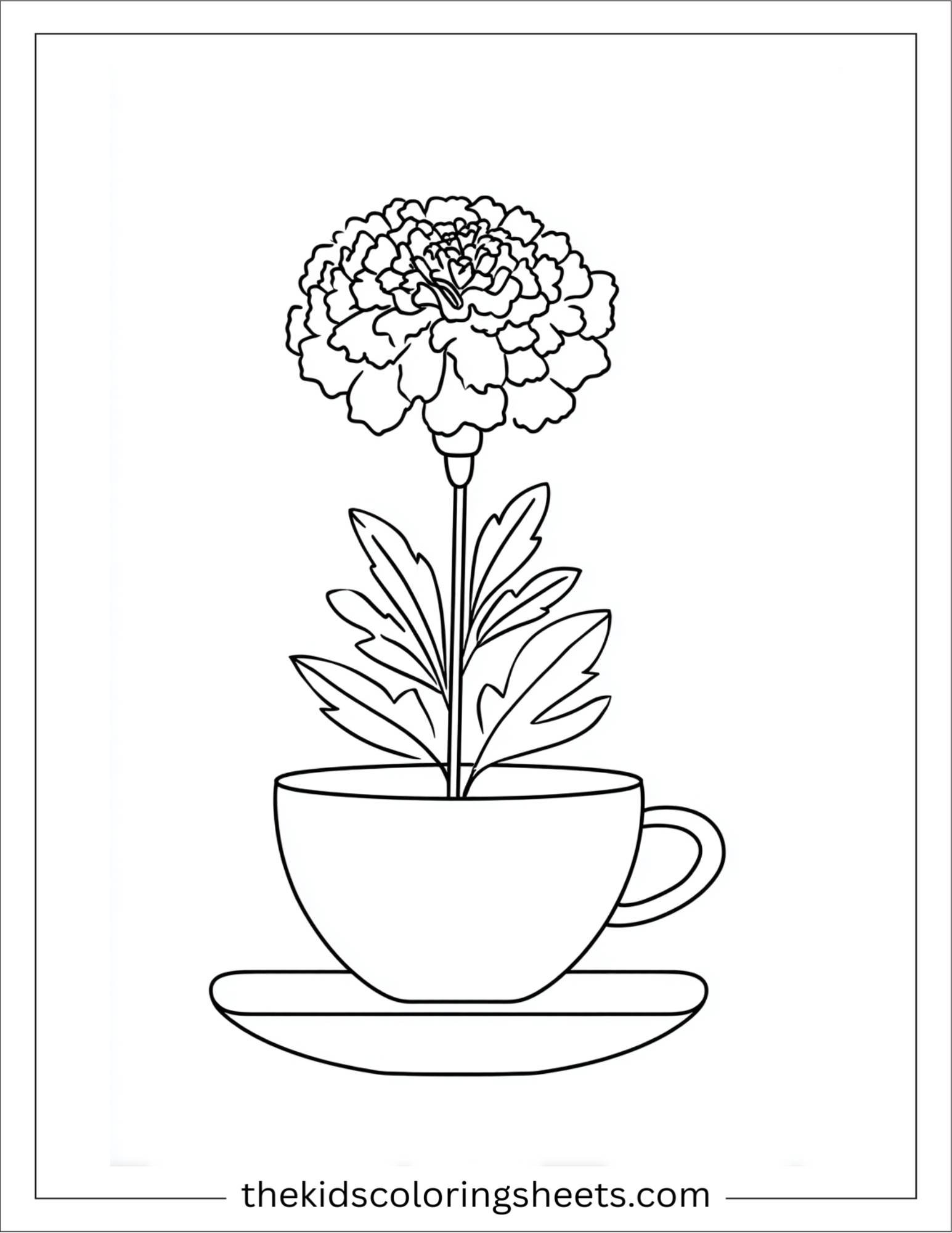 Marigold in teacup