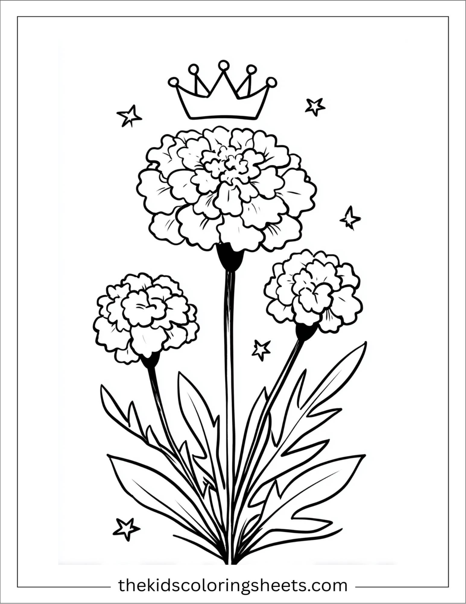 Marigold with star crown