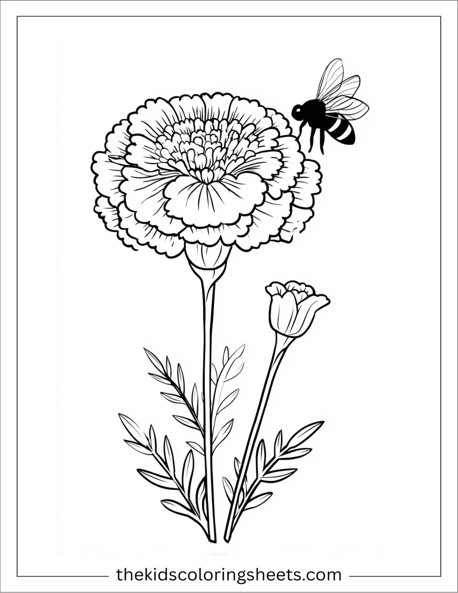 Marigold with tiny bee