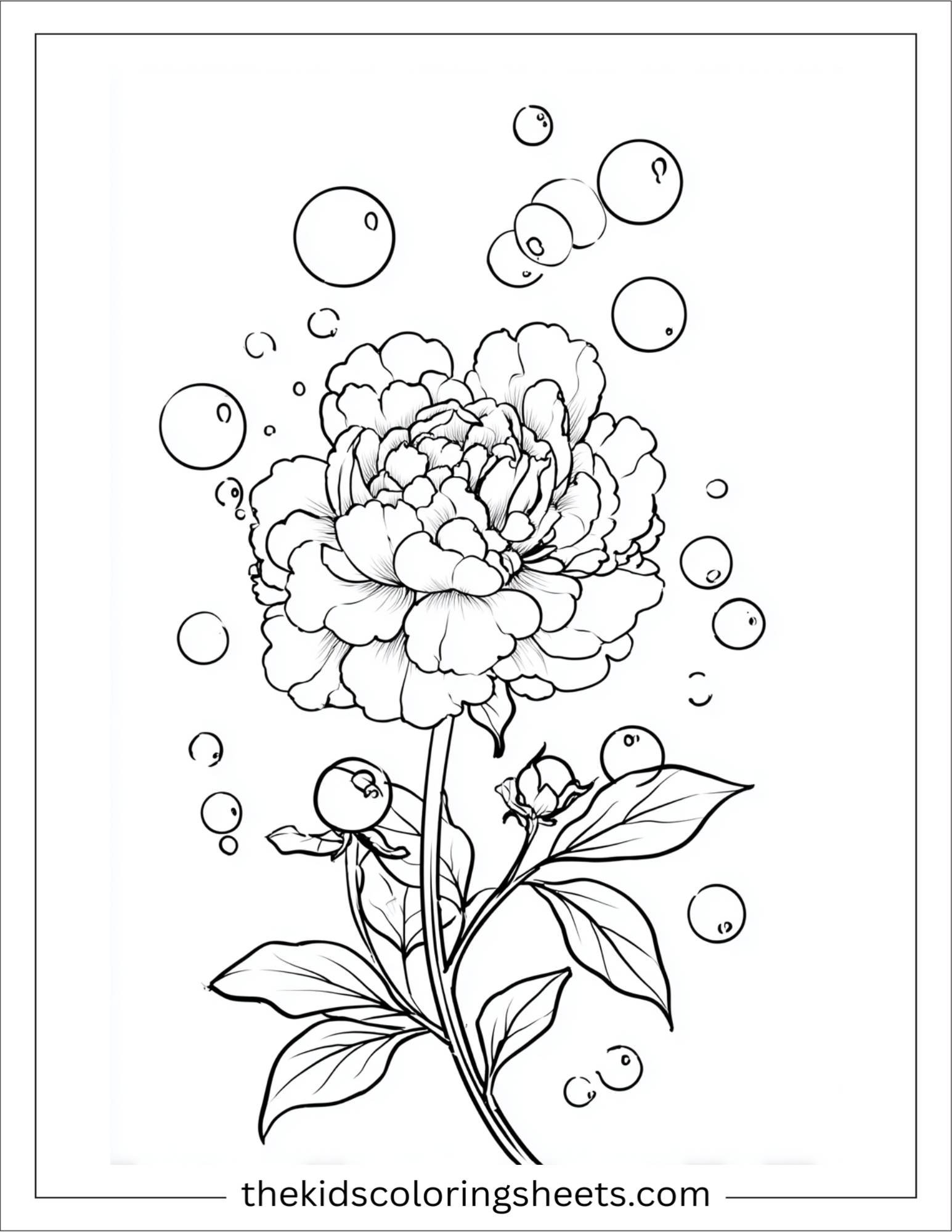 Peony blowing bubbles