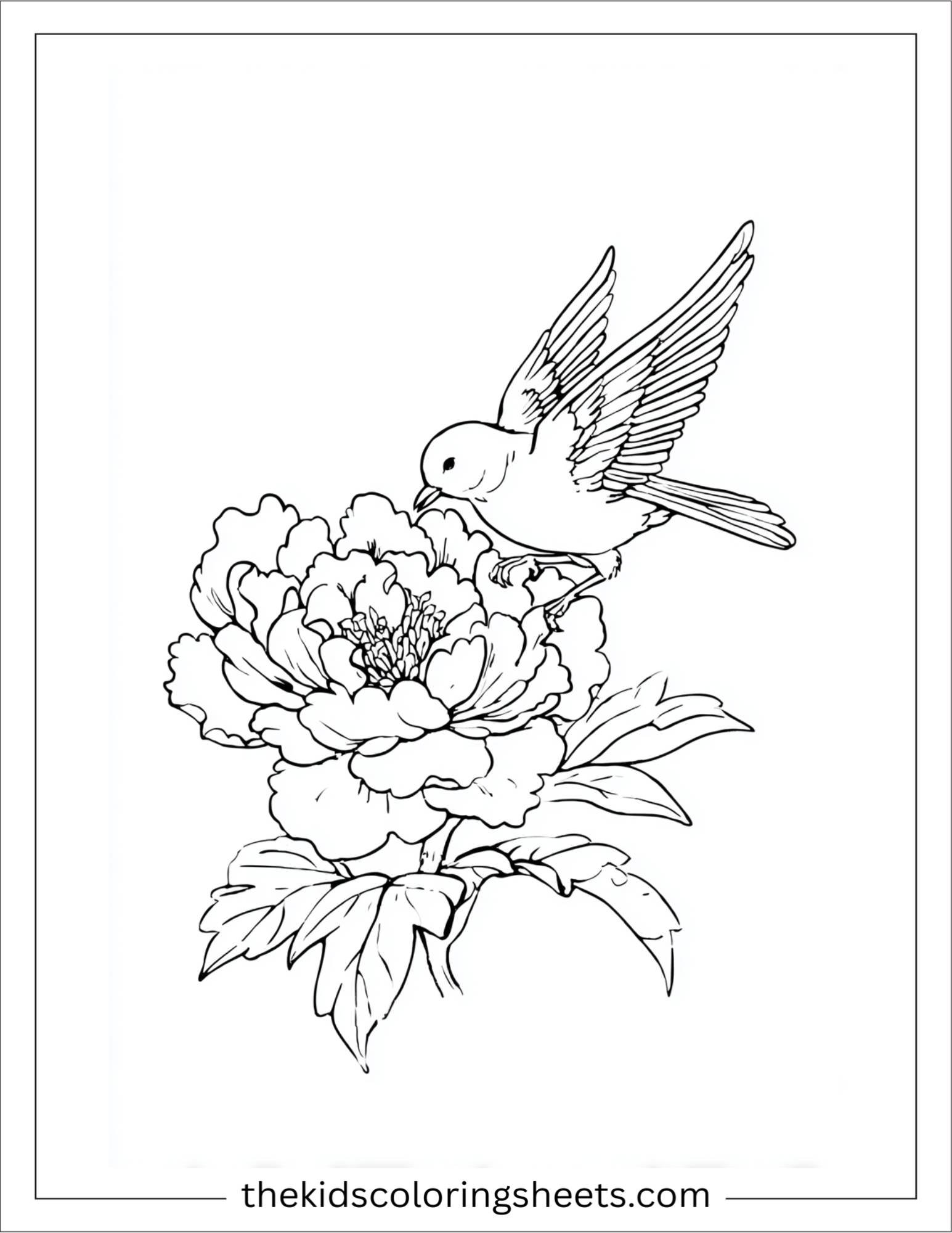 Peony feeding baby birds