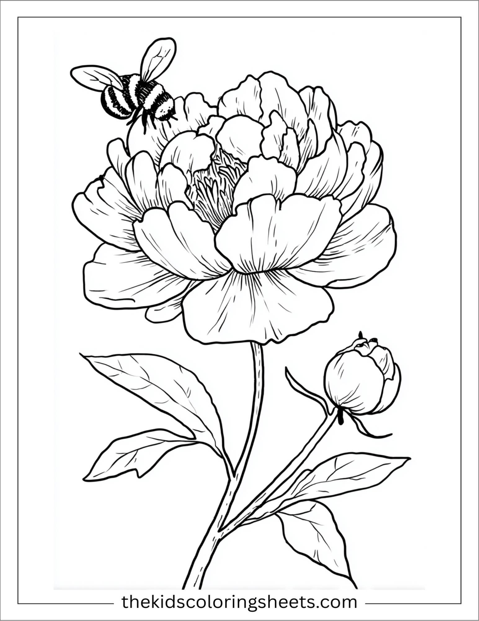 Peony hugging a little bee