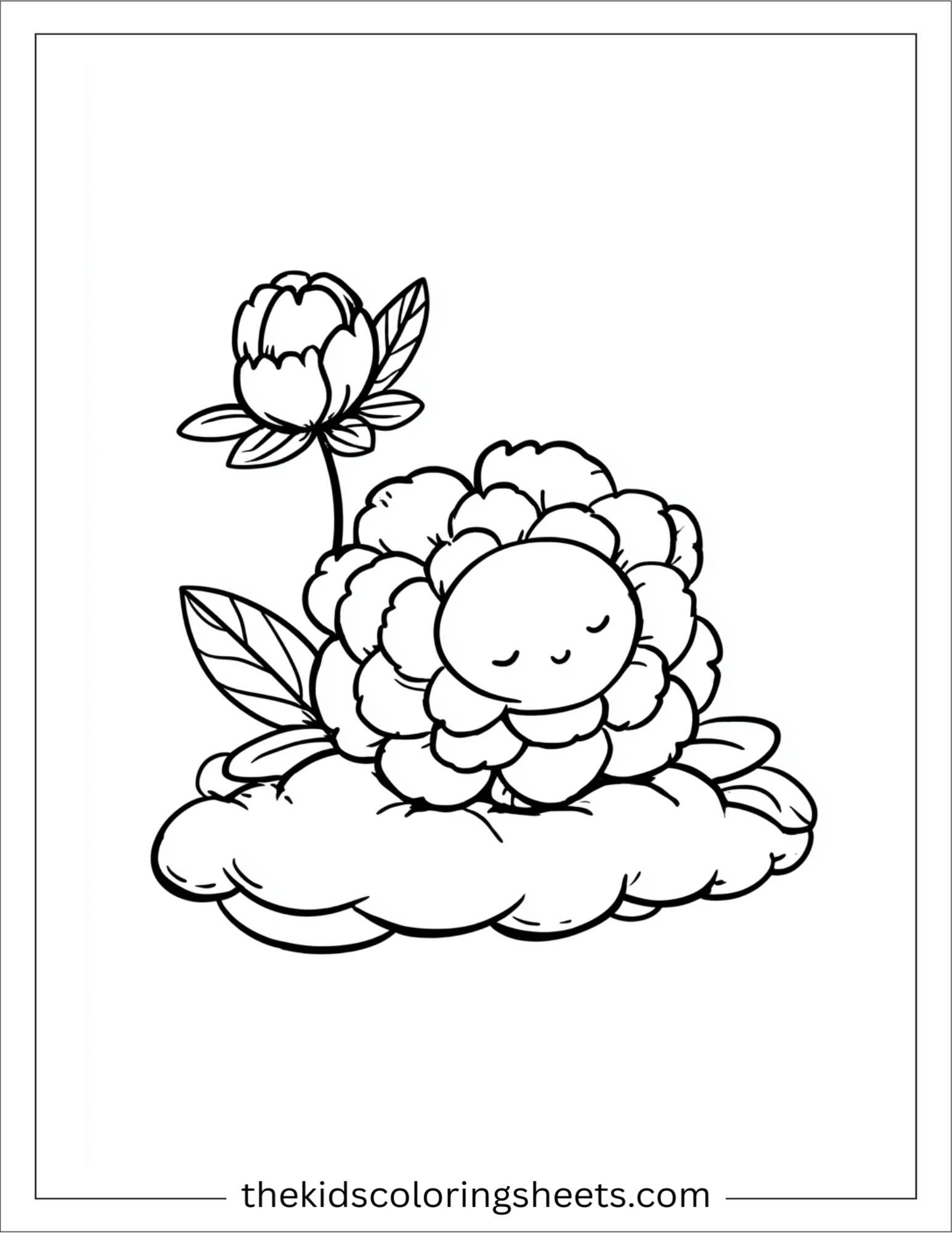 Peony resting on a cloud
