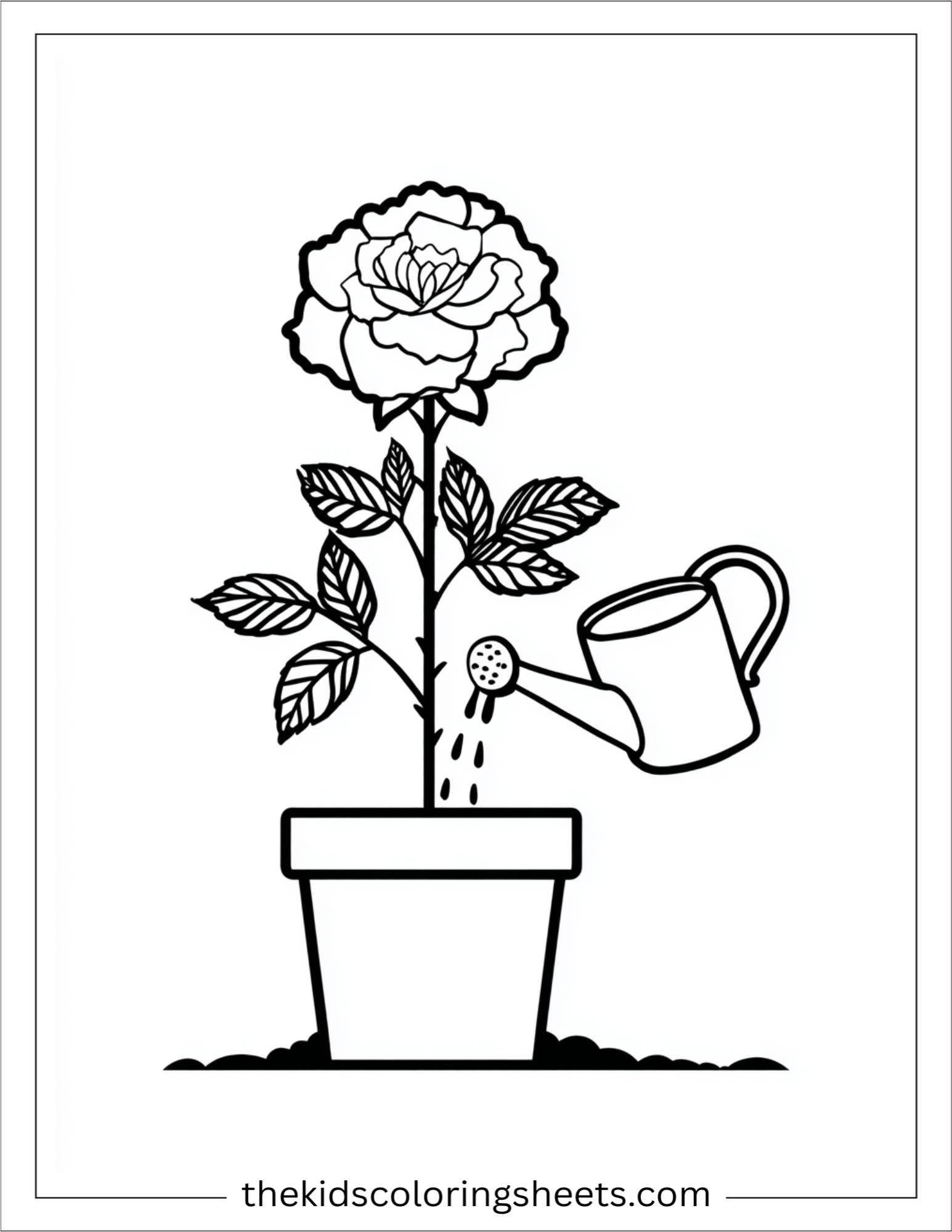 Rose Watering a Plant