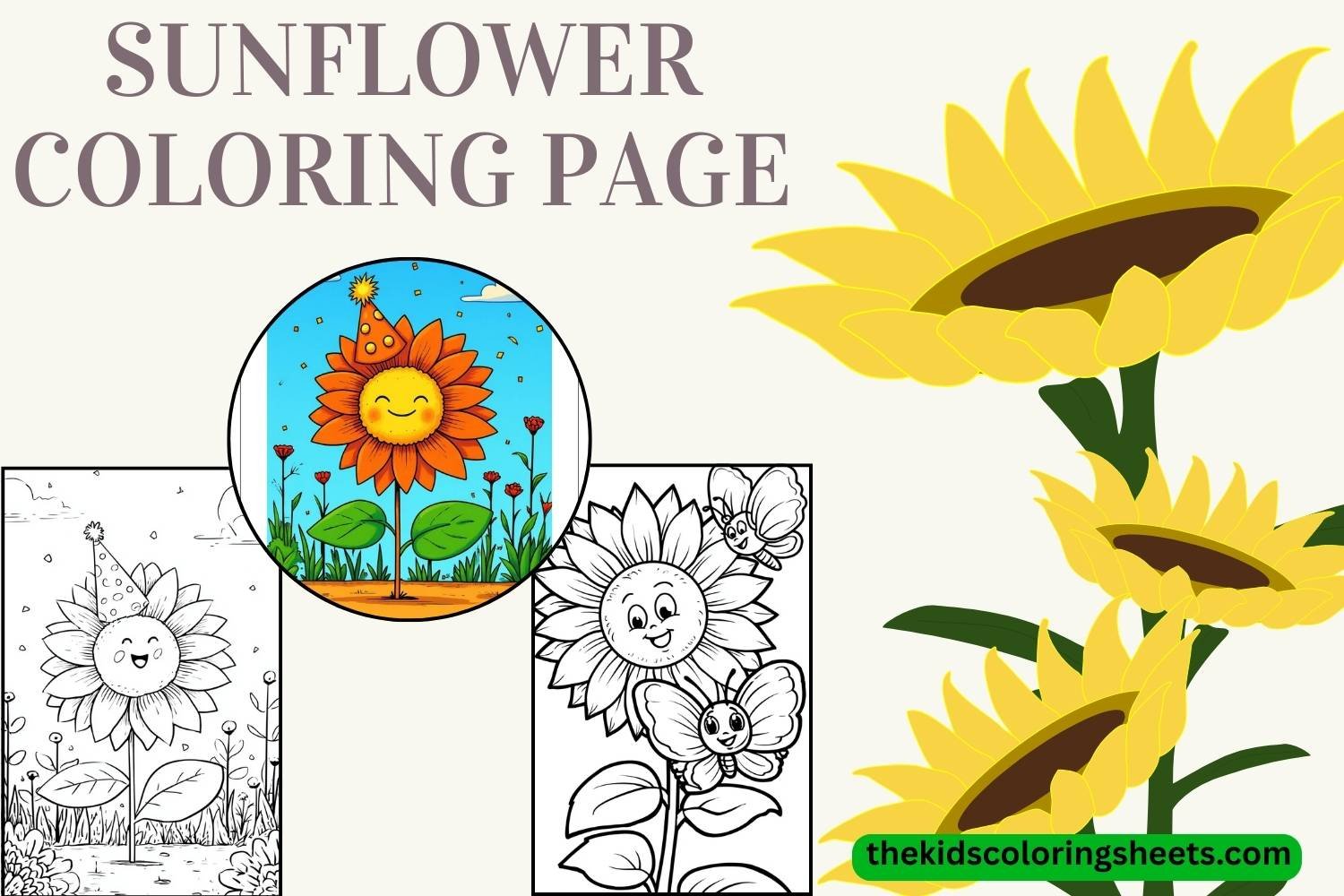 Sunflower Coloring Page Collection: 30 Cute and Fun Pages for Kids