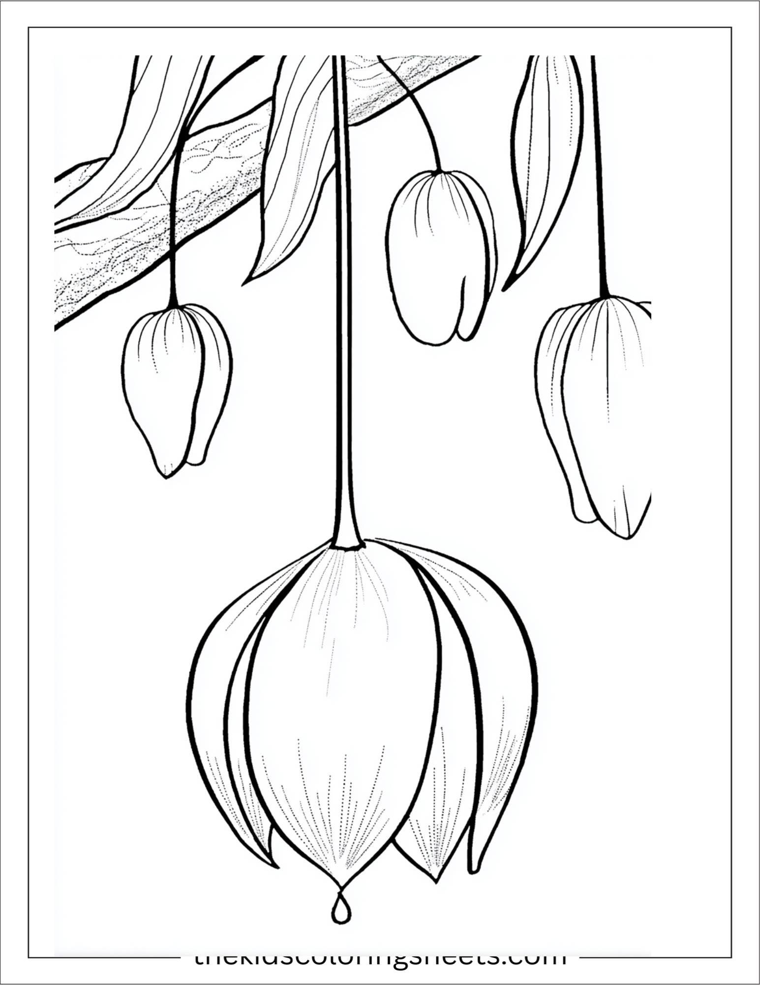 Tulip branch