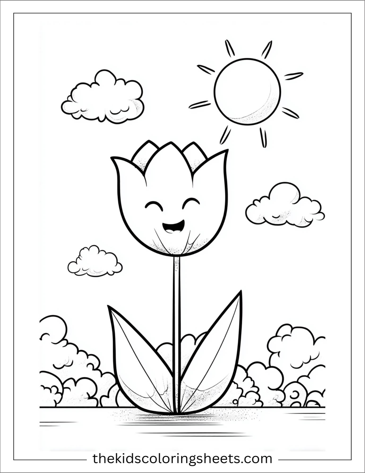 Tulip greeting the morning sun