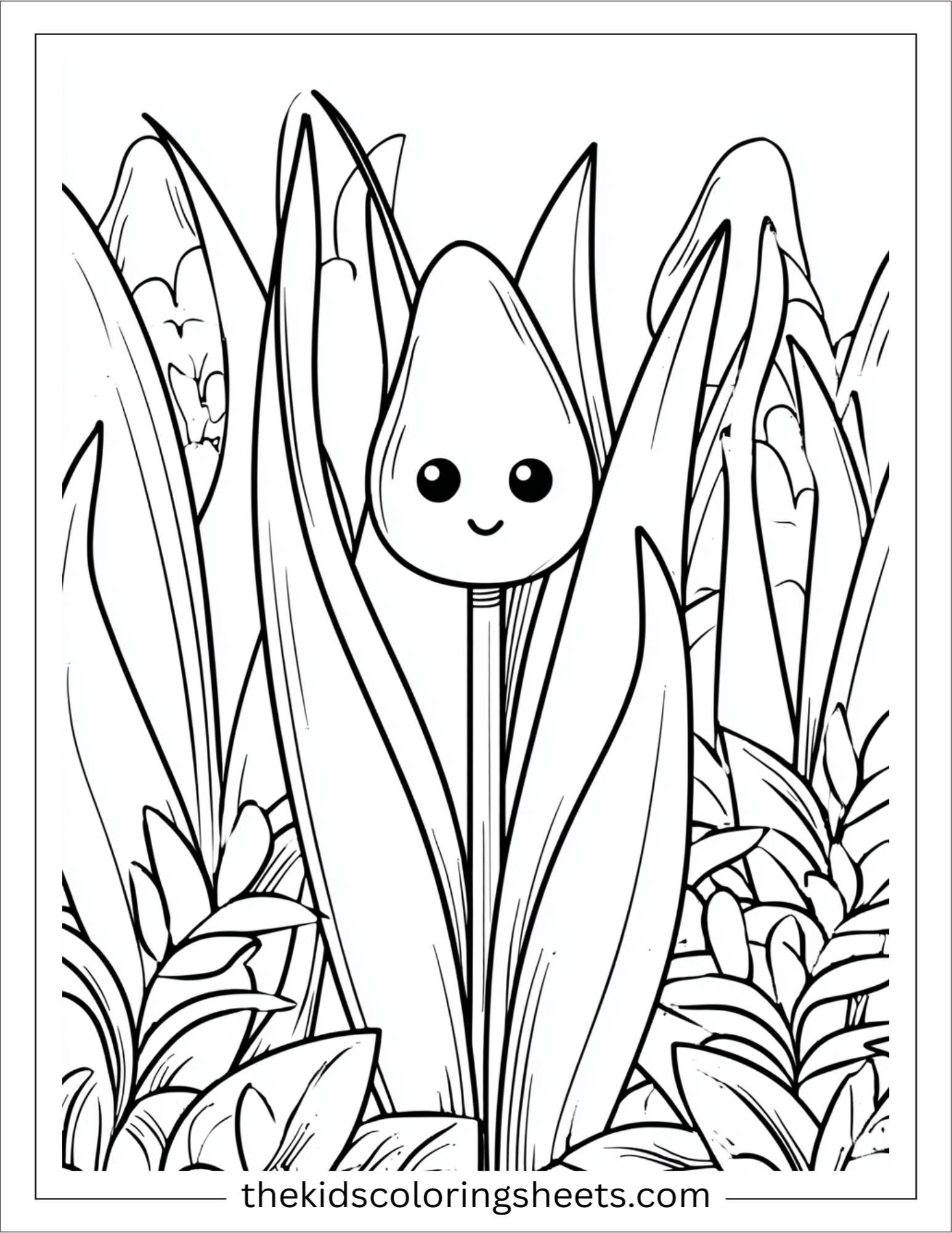 Tulip playing hide and seek