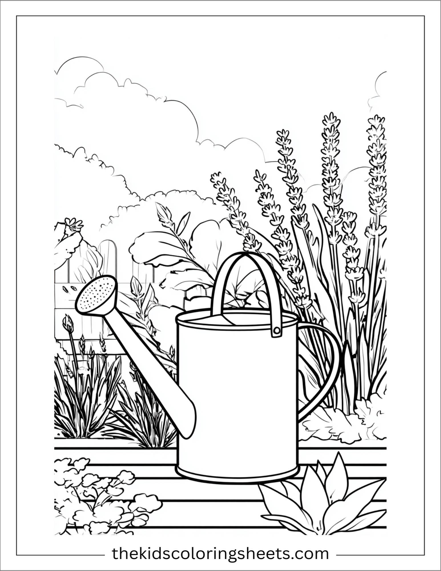 Watering lavender garden