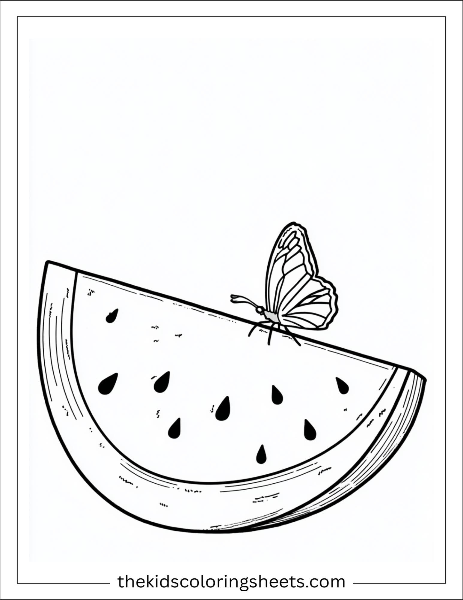 Watermelon and butterfly