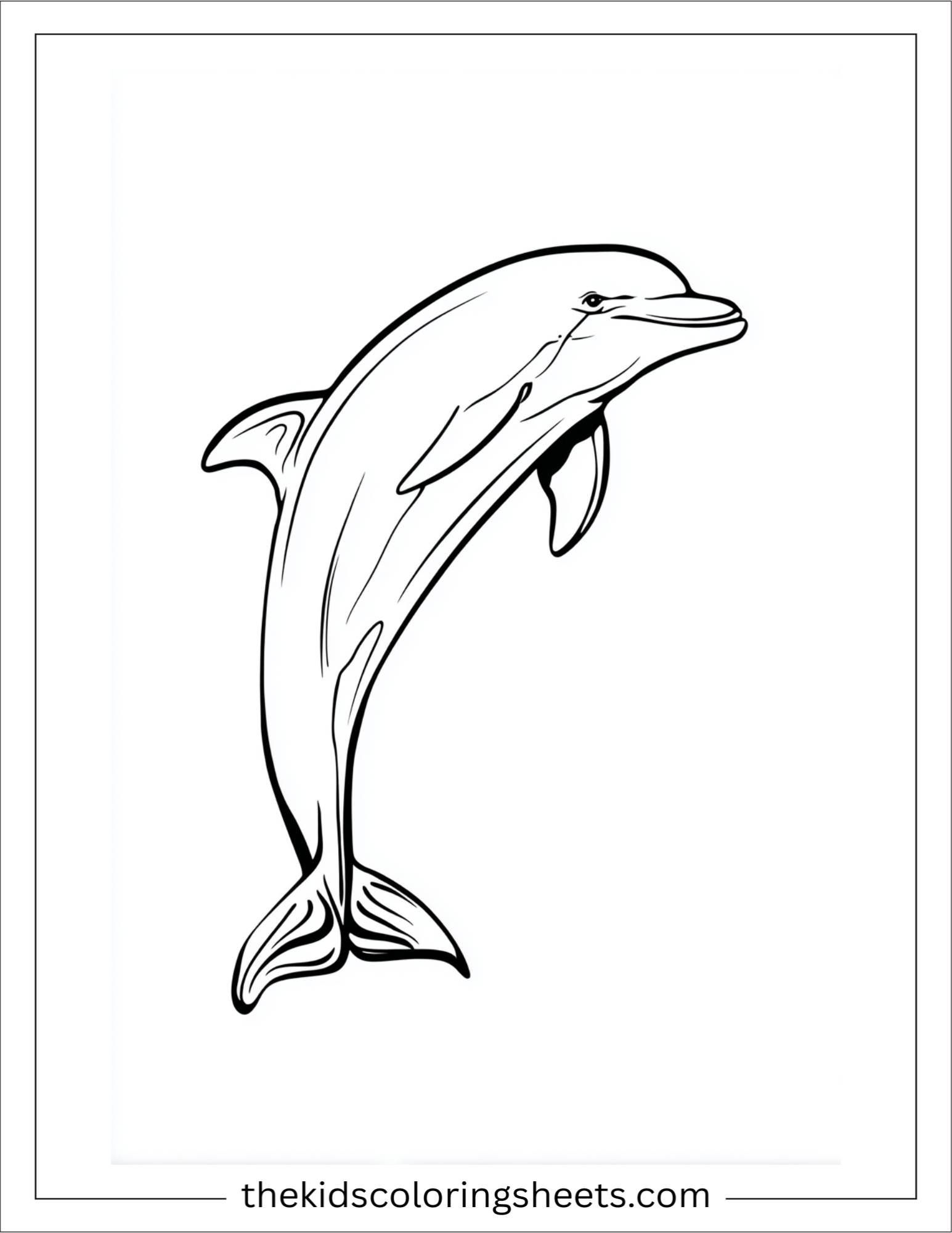 dolphin doing a backflip