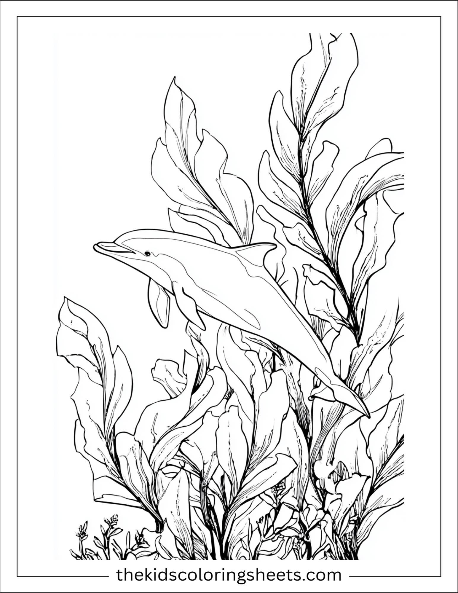 dolphin hiding behind seaweed