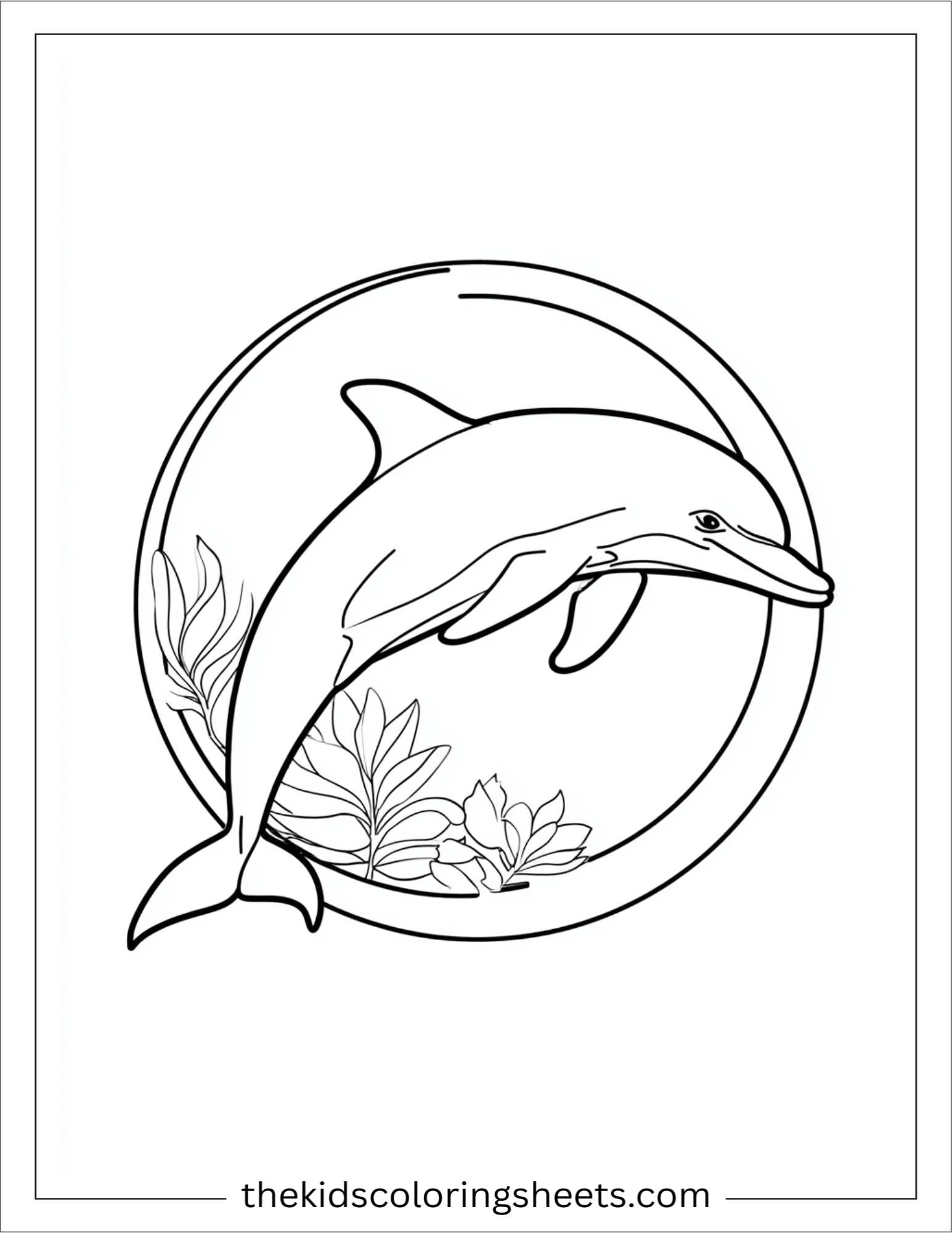 dolphin jumping through a hoop