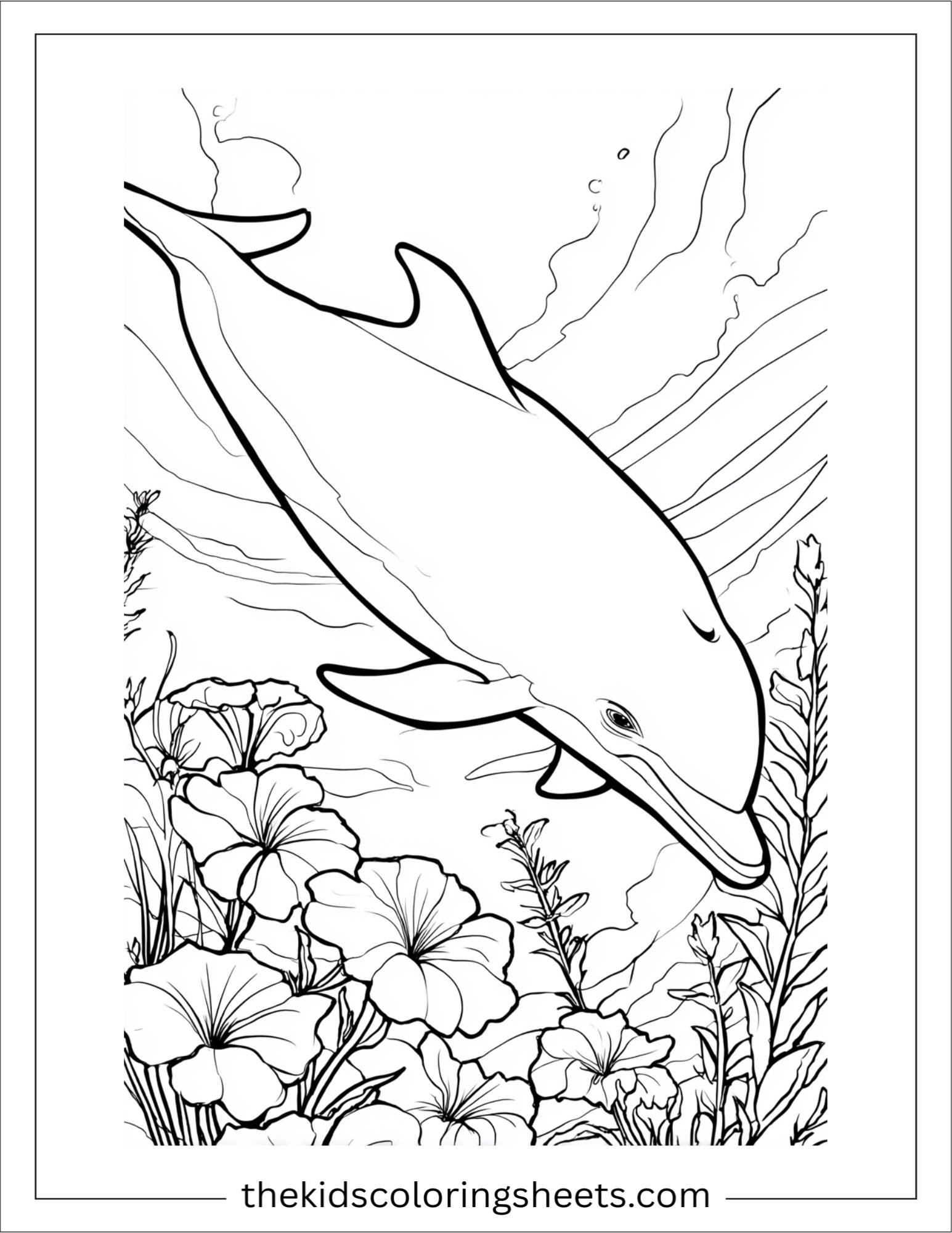 dolphin resting peacefully