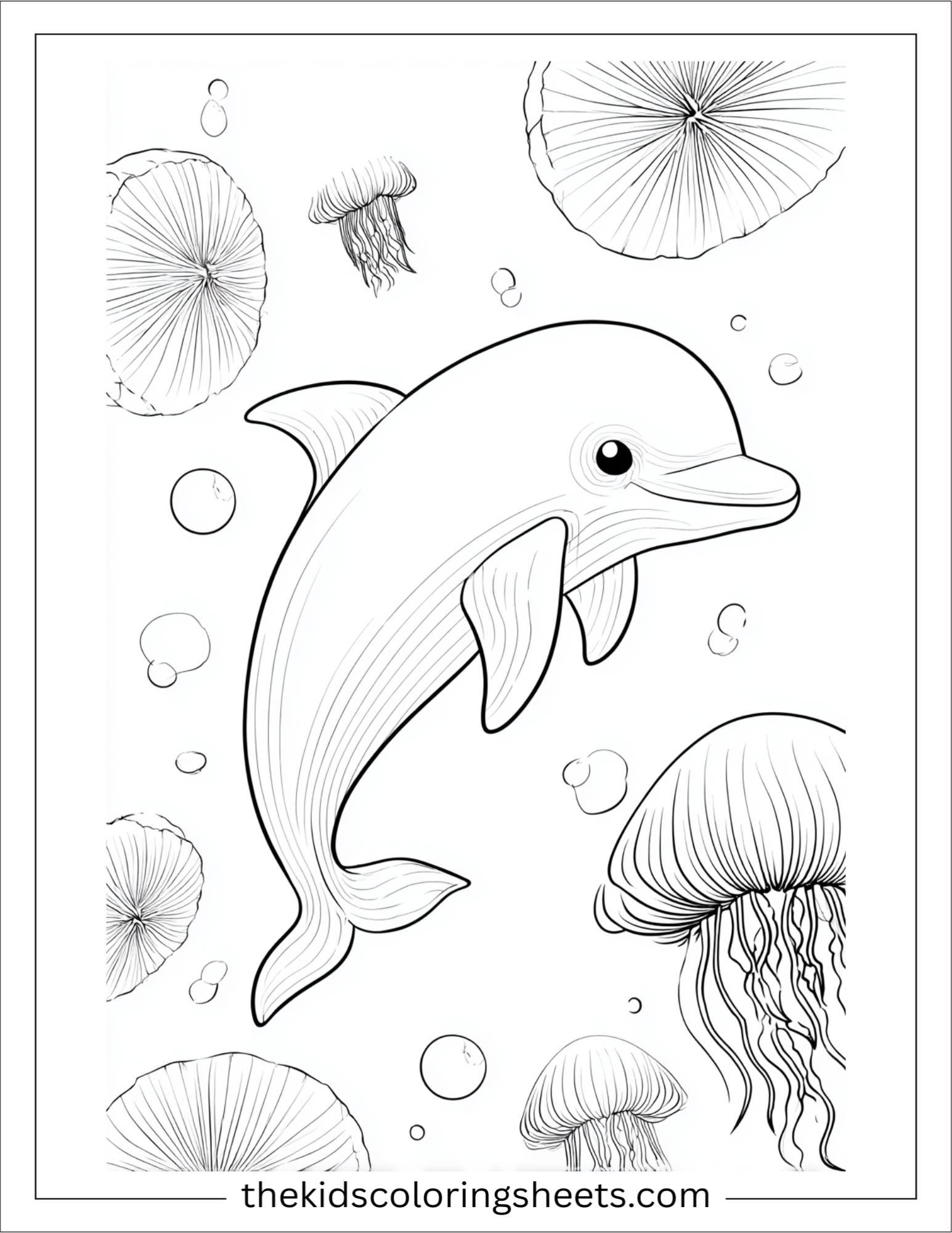 dolphin surprised by jellyfish