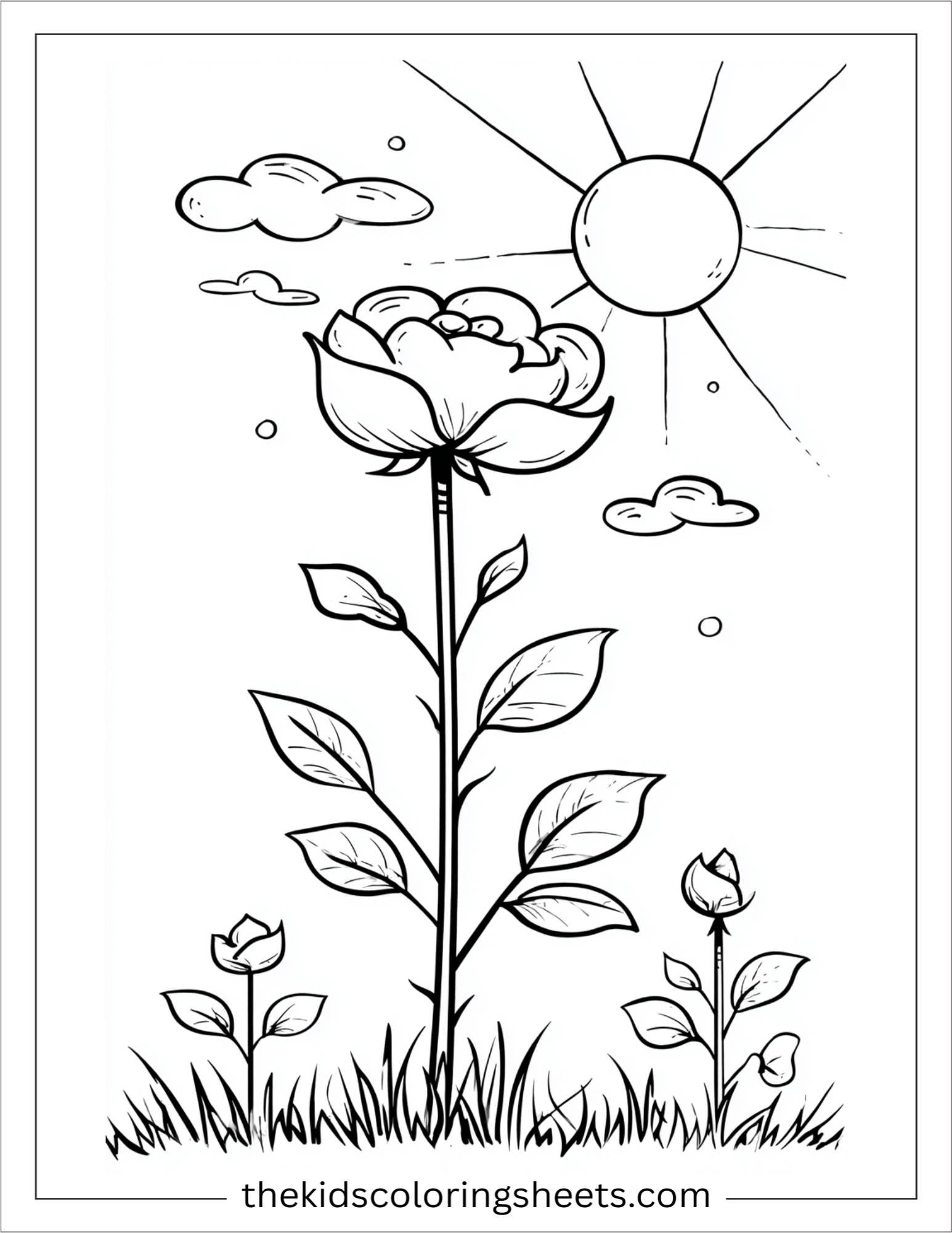 rose resting in sunlight