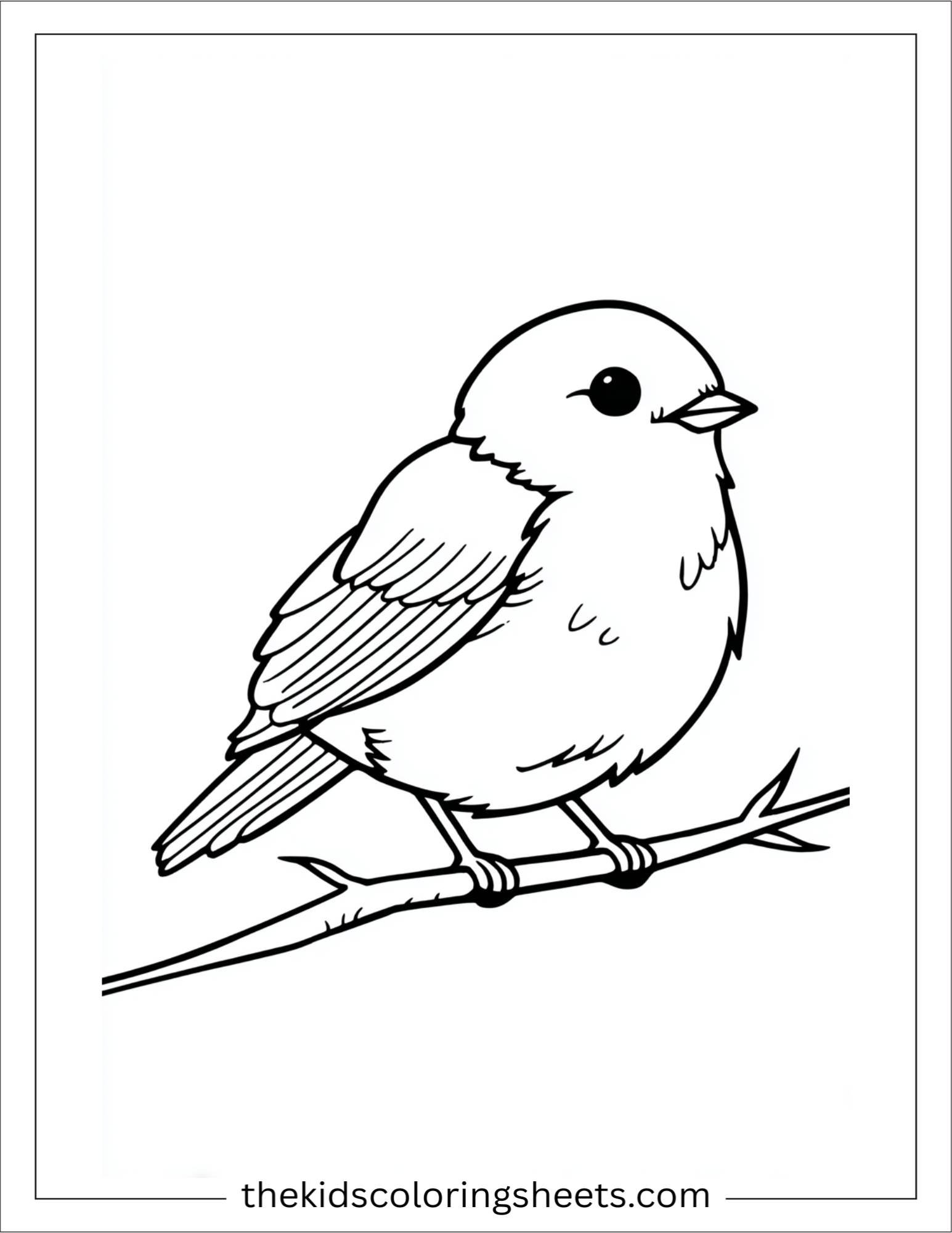 June bird watching