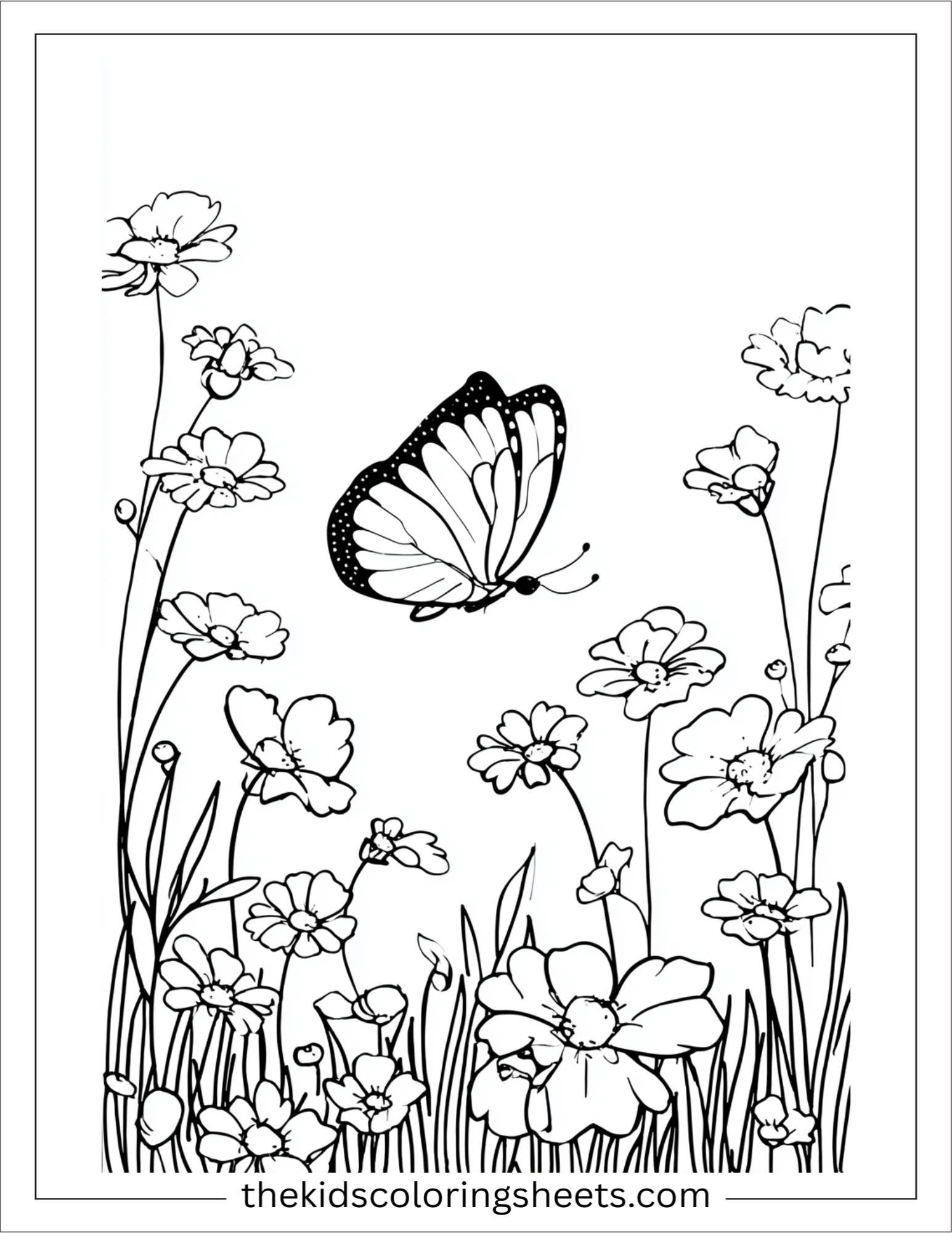 May butterfly meadow