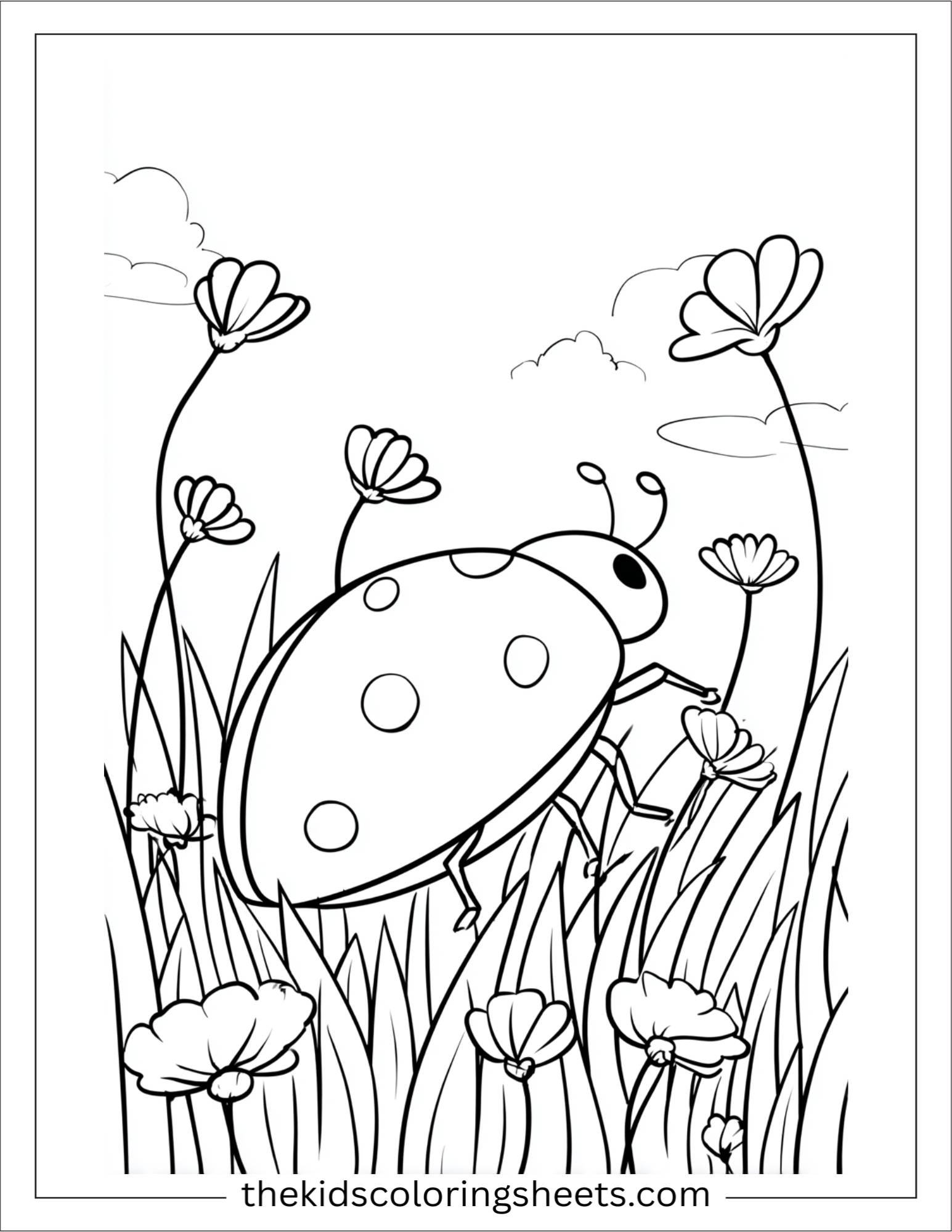 May ladybug adventure