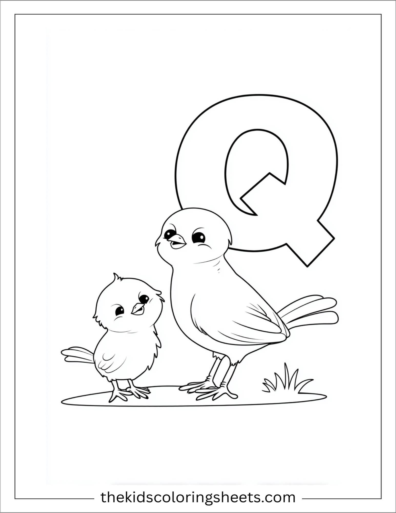 alphabet Q quail coloring page