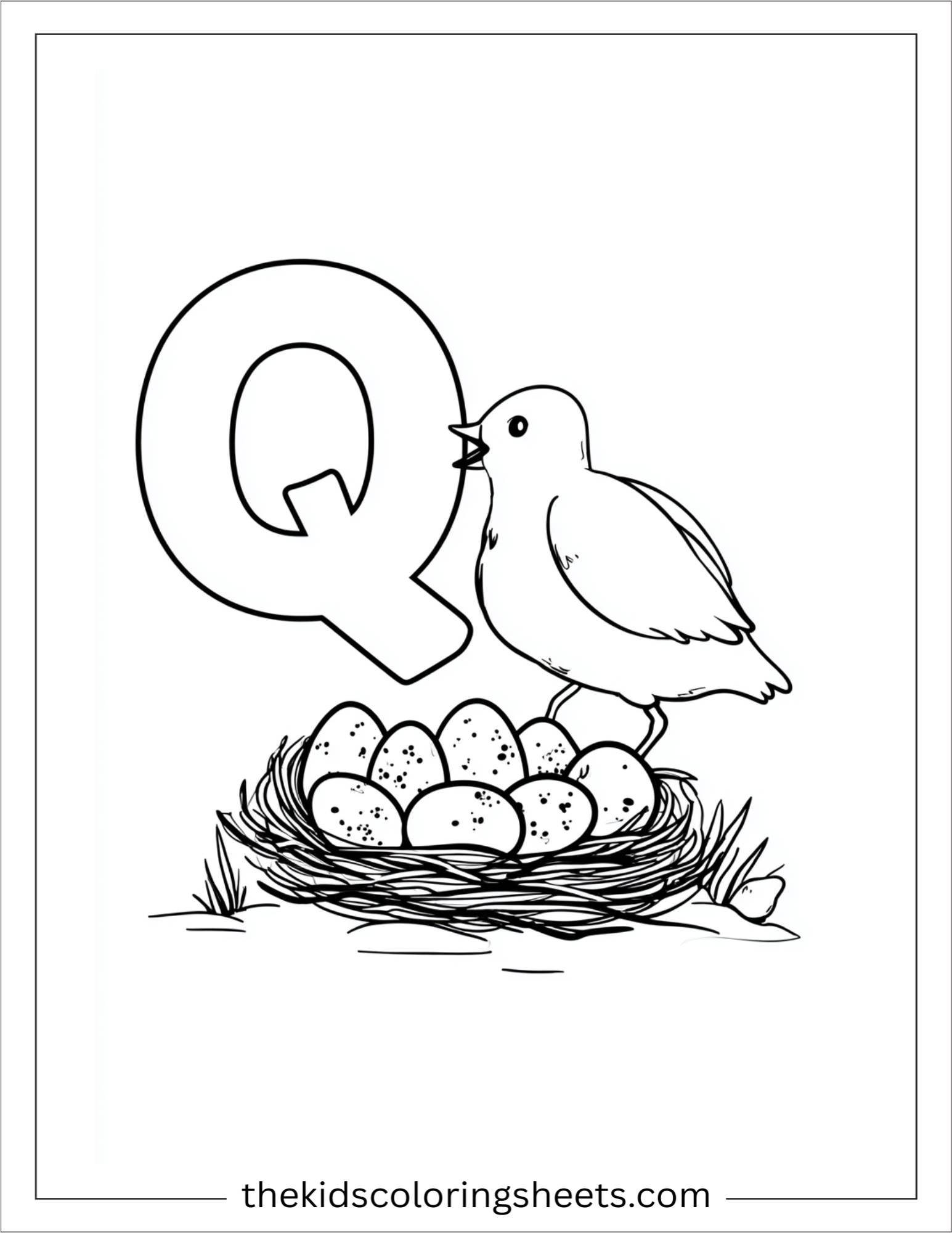 alphabet Q quail eggs coloring page