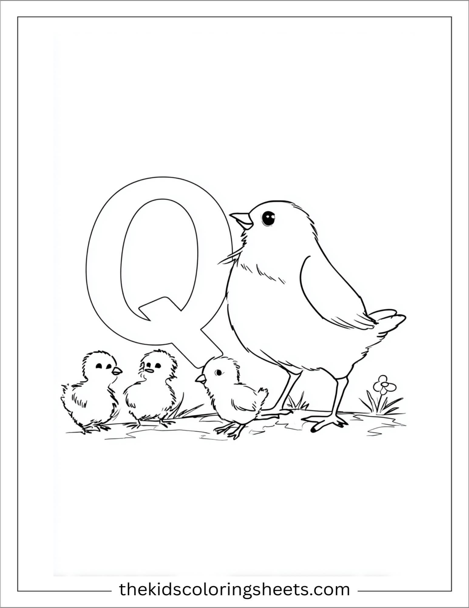 alphabet Q quail family coloring page