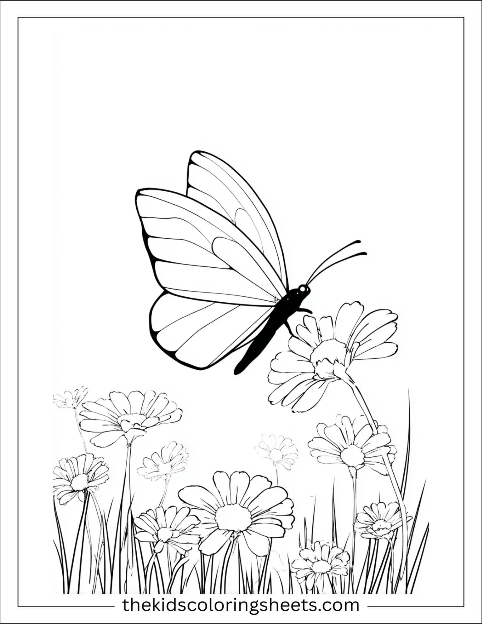 july butterfly garden visit